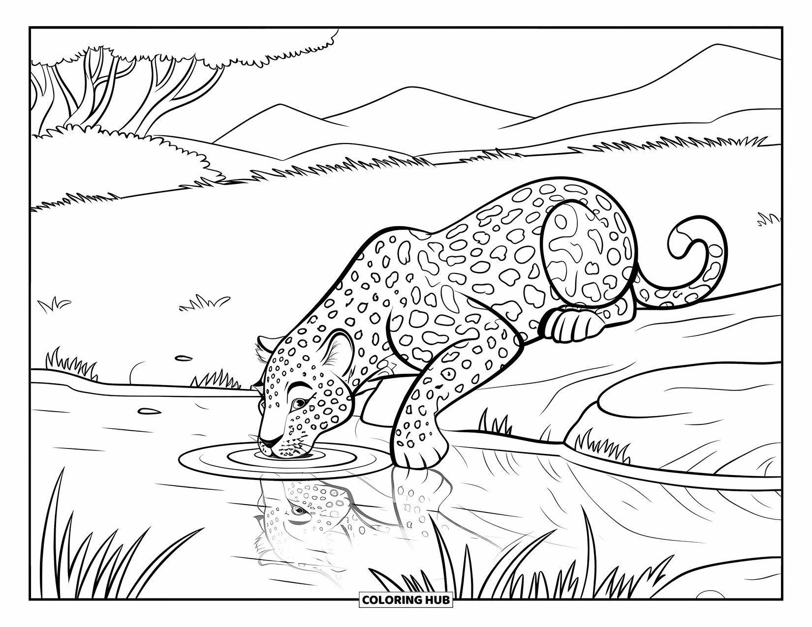 Leopard Coloring Page for Kids: Leopard drinks from a calm pond with its reflection in the water