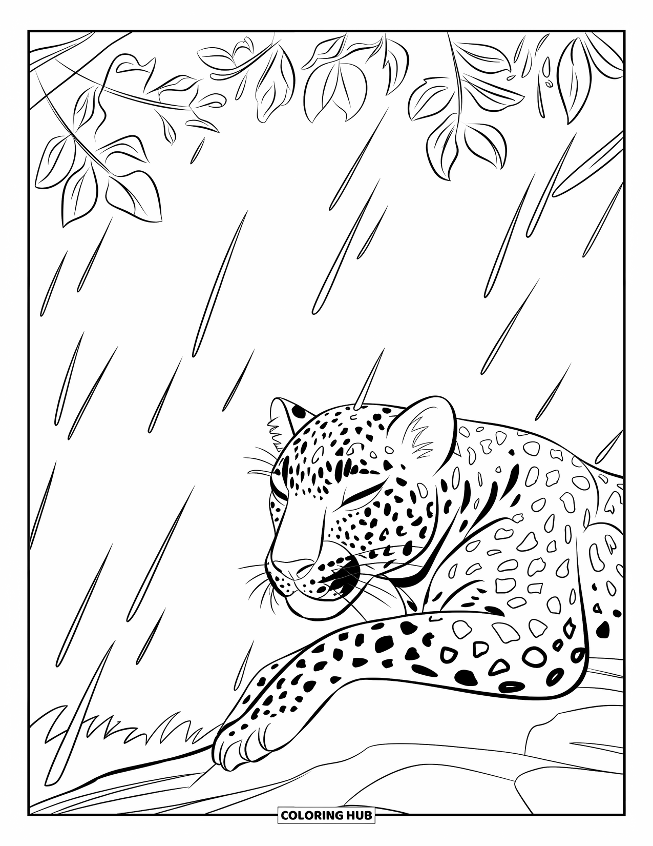 Leopard Coloring Page for Kids: Leopard naps under gentle rain, sheltered by leafy branches
