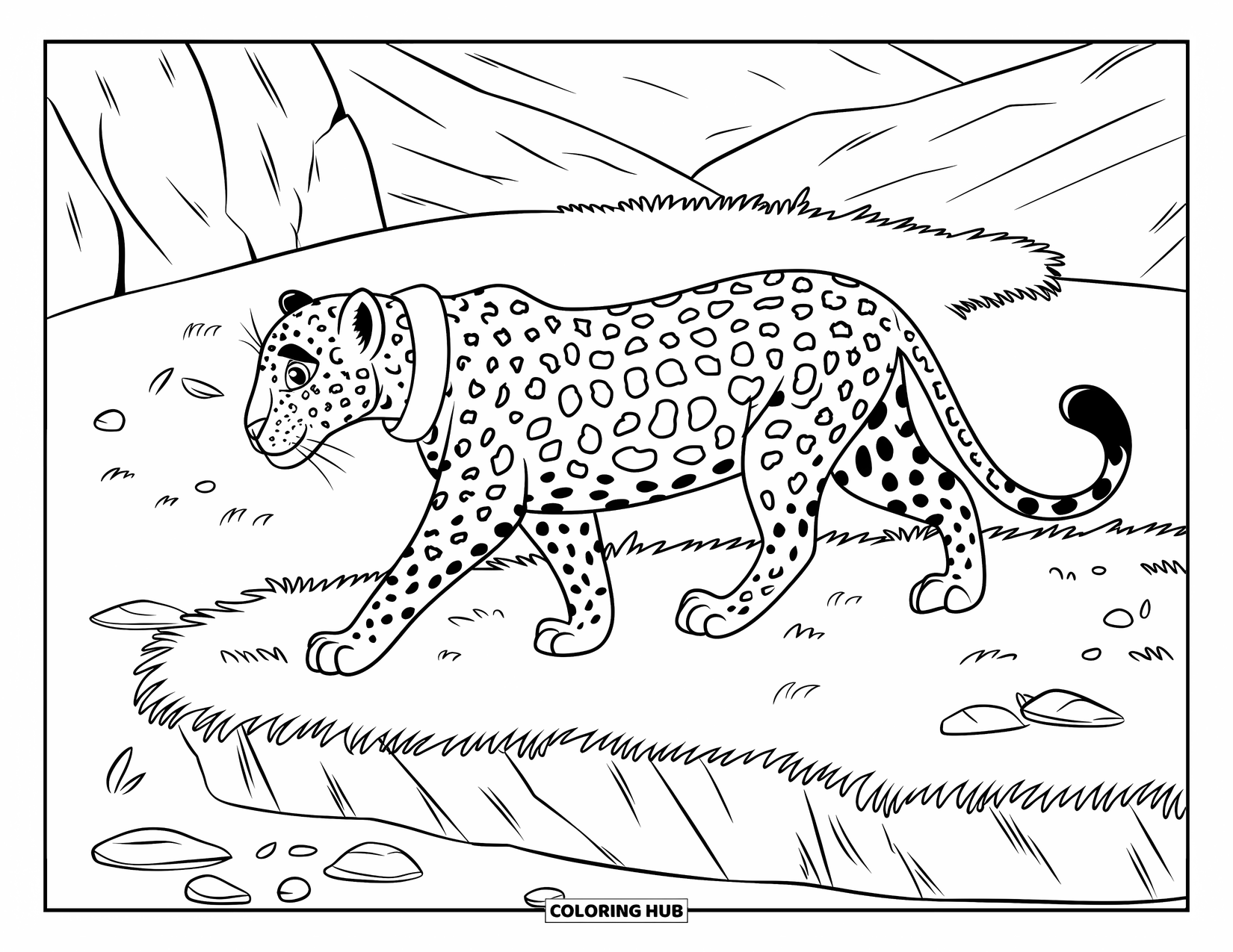 Leopard Coloring Page for Kids: Leopard with a white collar walks through grass and rocks with mountains behind