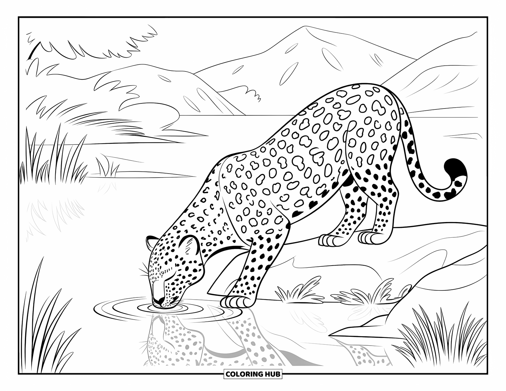 Leopard Coloring Page for Kids: Leopard with closed eyes drinks from a quiet pond in a peaceful forest