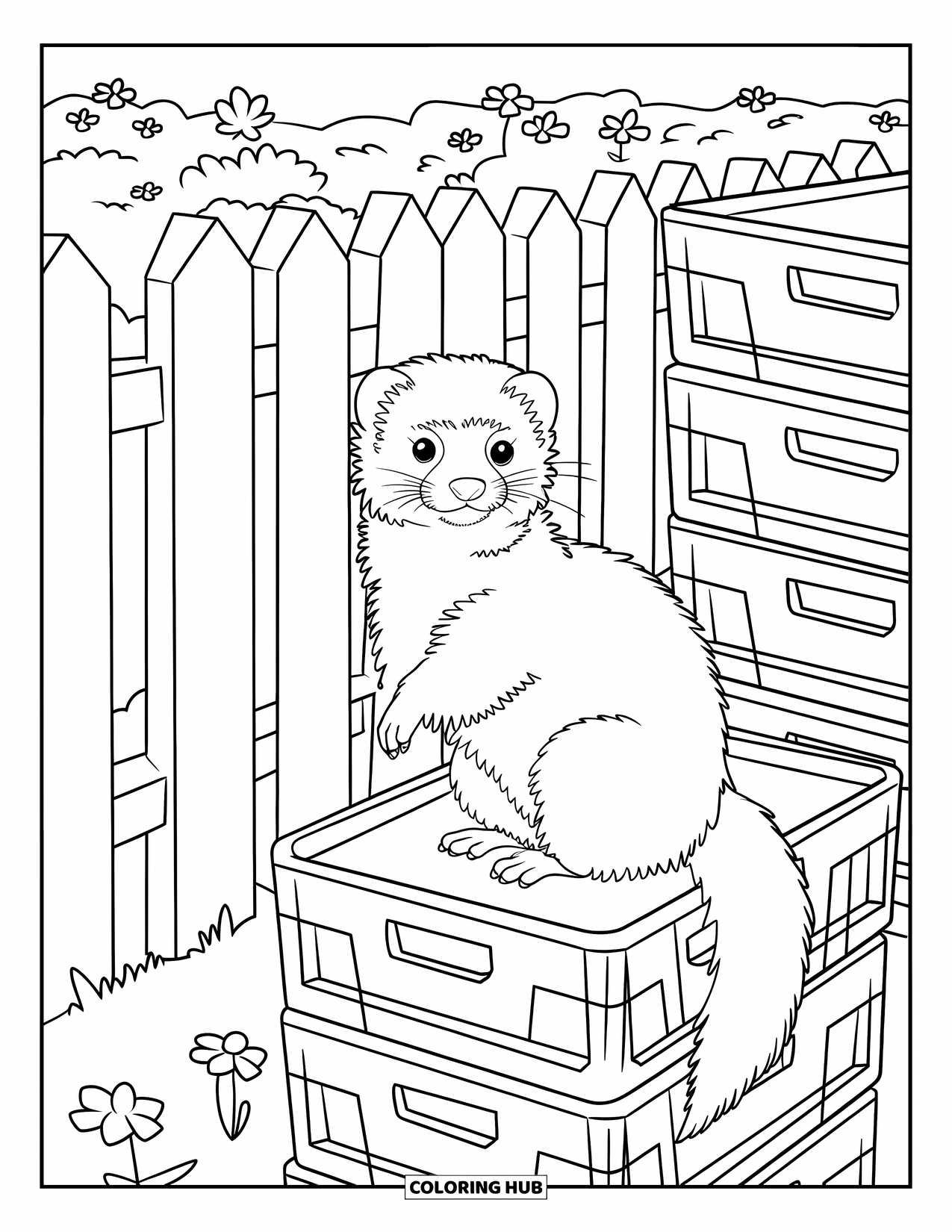 Letter F Coloring Page for Kids: A fluffy ferret rests near a fence and stacked fruit crates