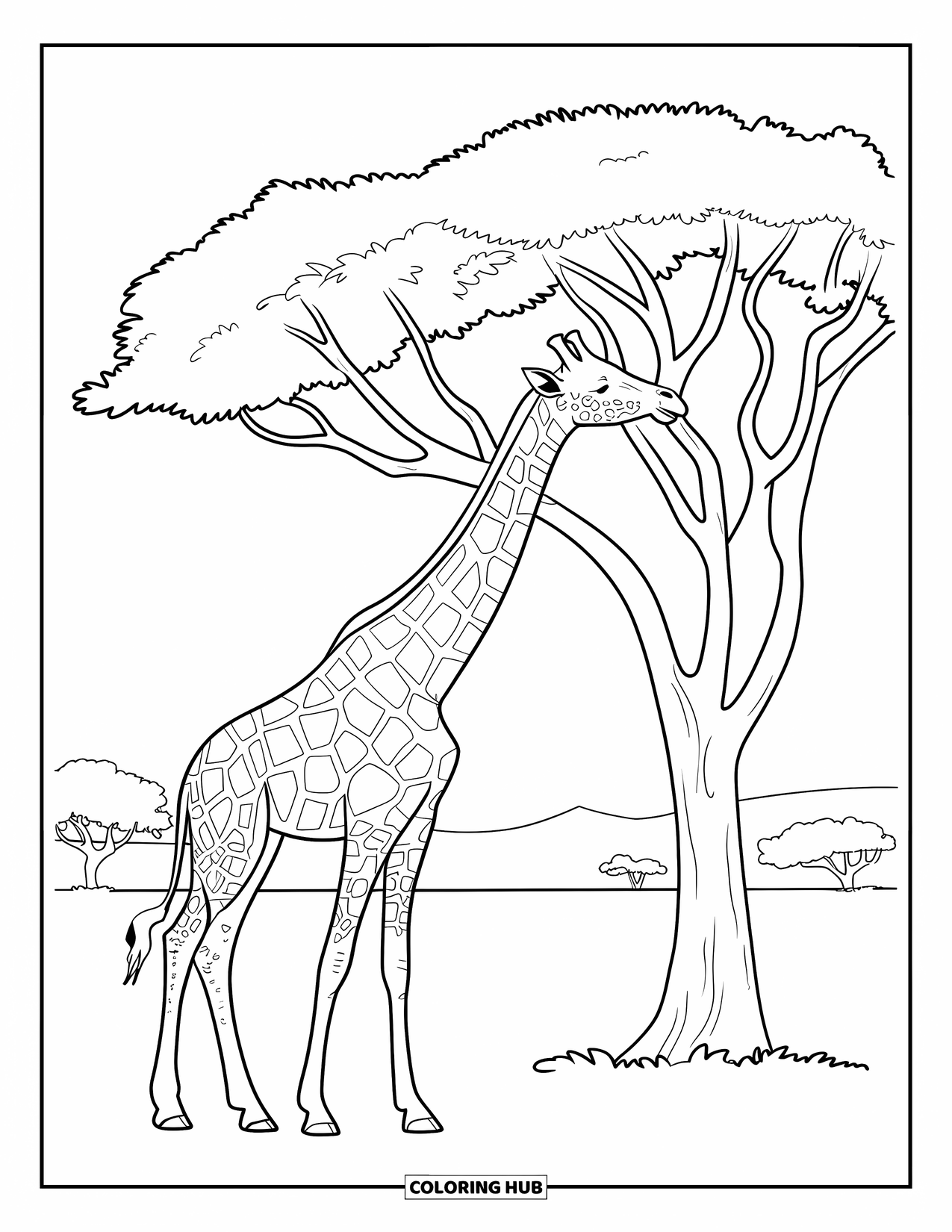 Letter G Coloring Page for Kids: Giraffe bends its neck to nibble tree leaves in the savanna