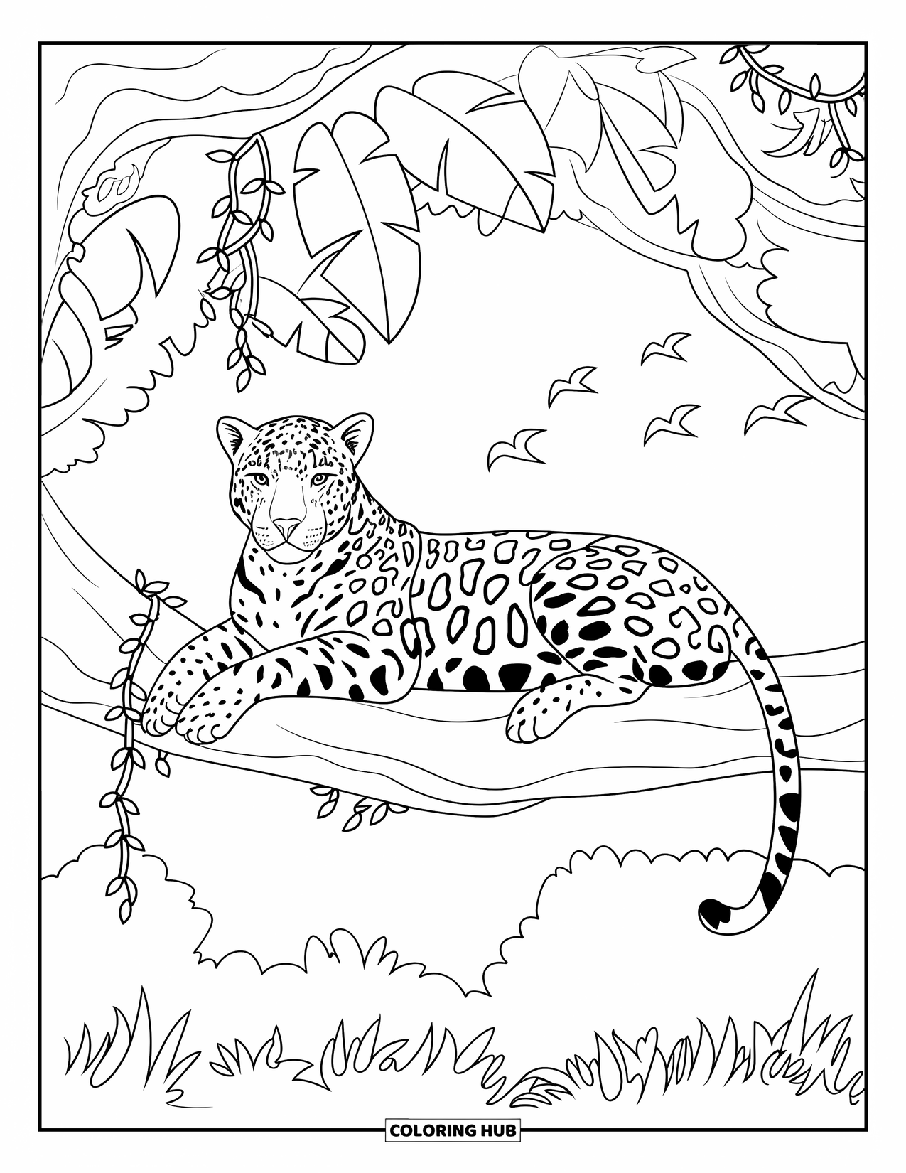 Letter J Coloring Page for Kids: Jaguar resting peacefully on a tree branch with jungle vines and flying birds