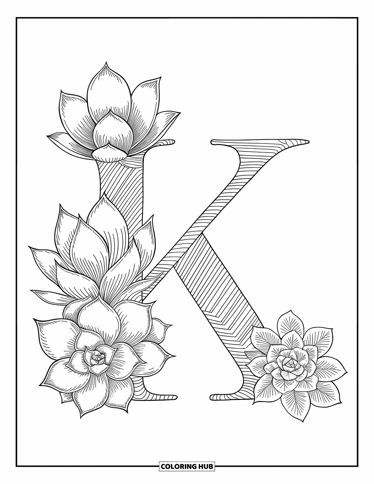 Letter K Coloring Page for Adults: Succulent plants with fine lines bloom around the letter K