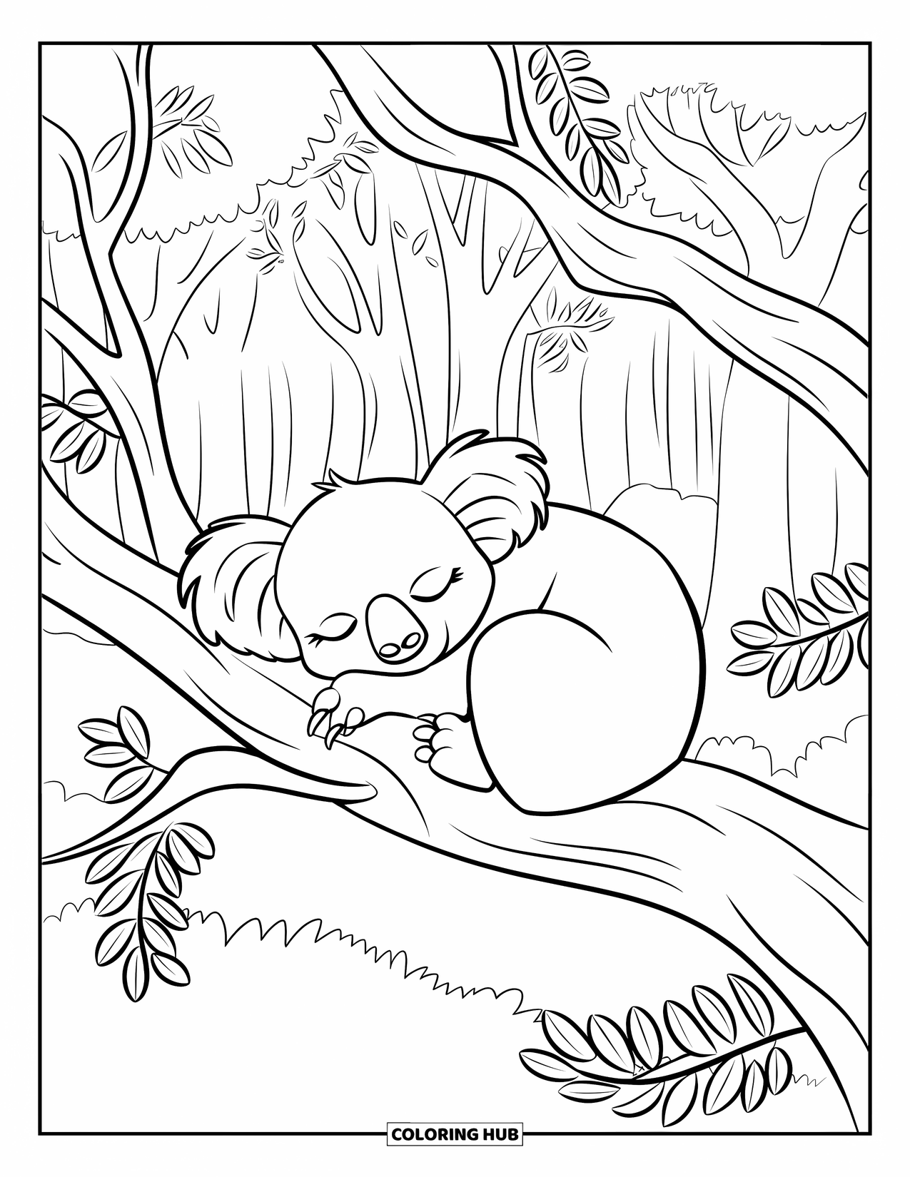 Letter K Coloring Page for Kids: A cuddly koala naps in a dense forest full of leafy trees
