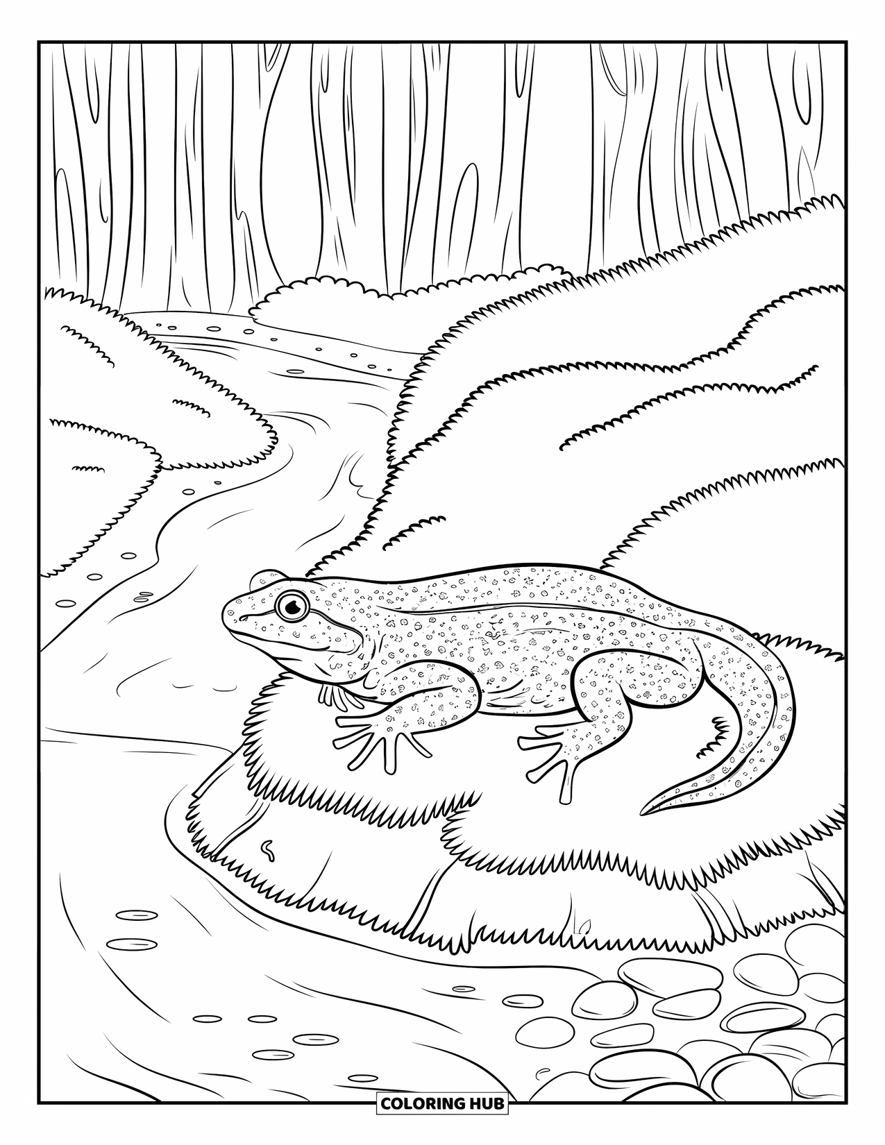 Letter N Coloring Page for Kids: A newt relaxes by a pebble stream surrounded by trees
