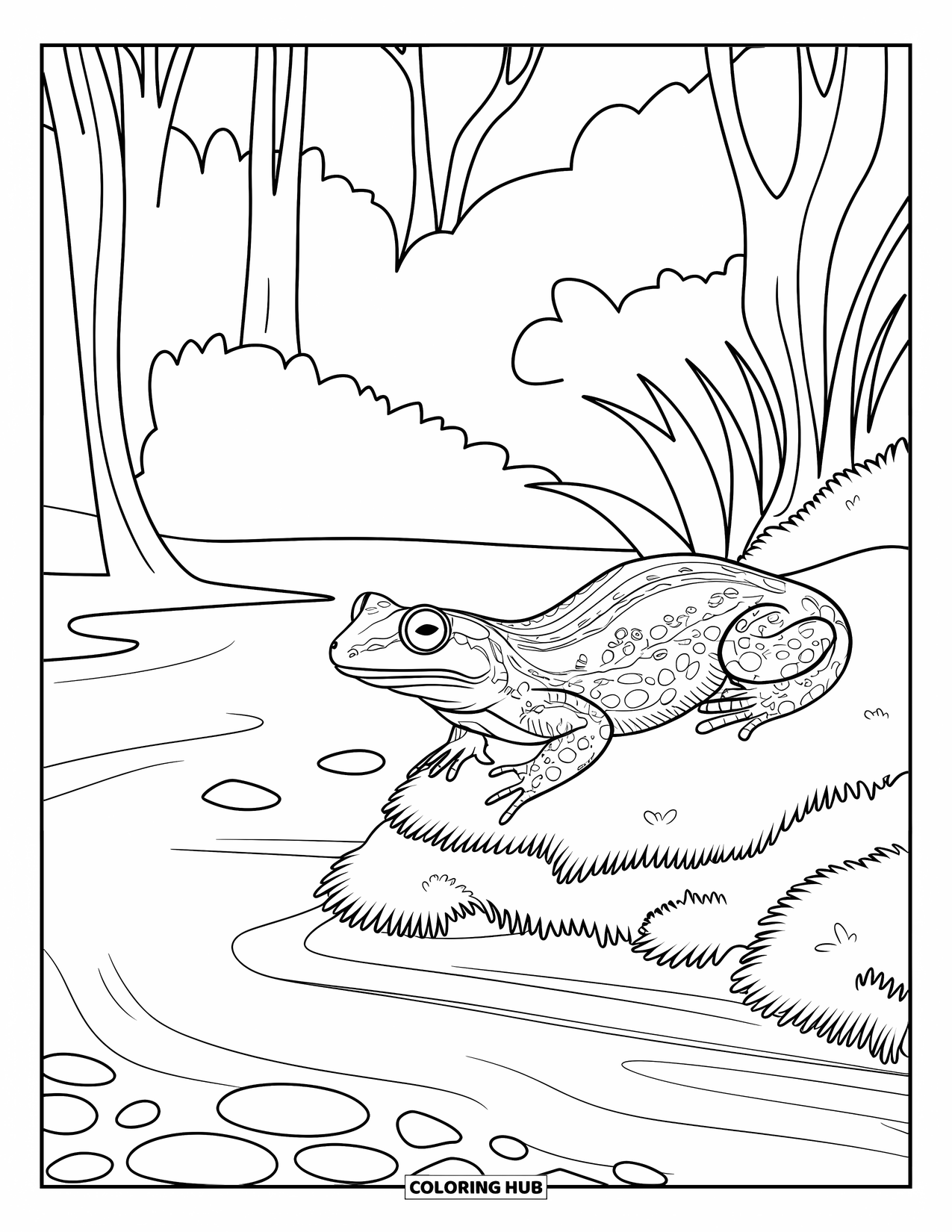 Letter N Coloring Page for Kids: A peaceful newt lies on a mossy rock beside a forest stream
