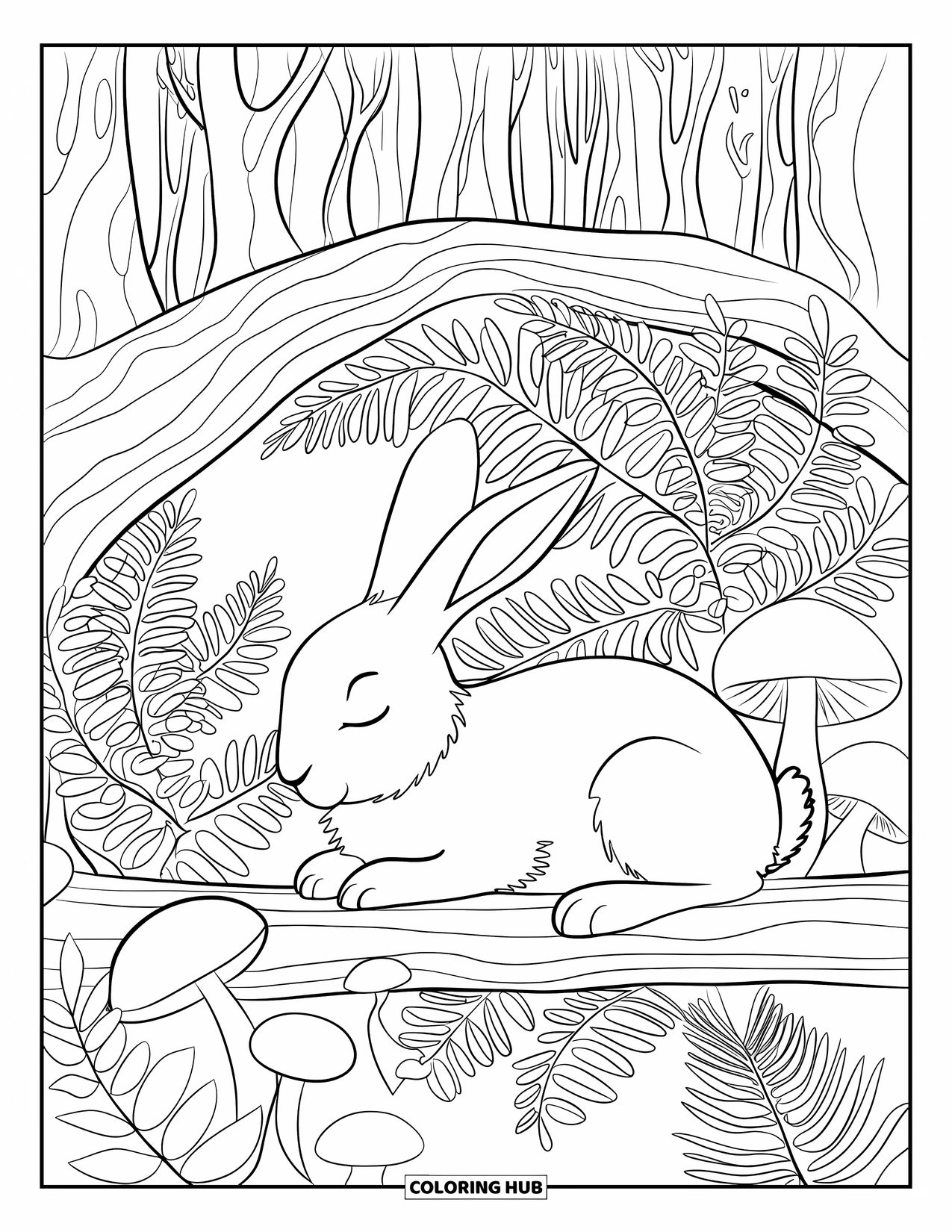 Letter R Coloring Page for Kids: A rabbit relaxes in a quiet forest filled with ferns, mushrooms, and trees