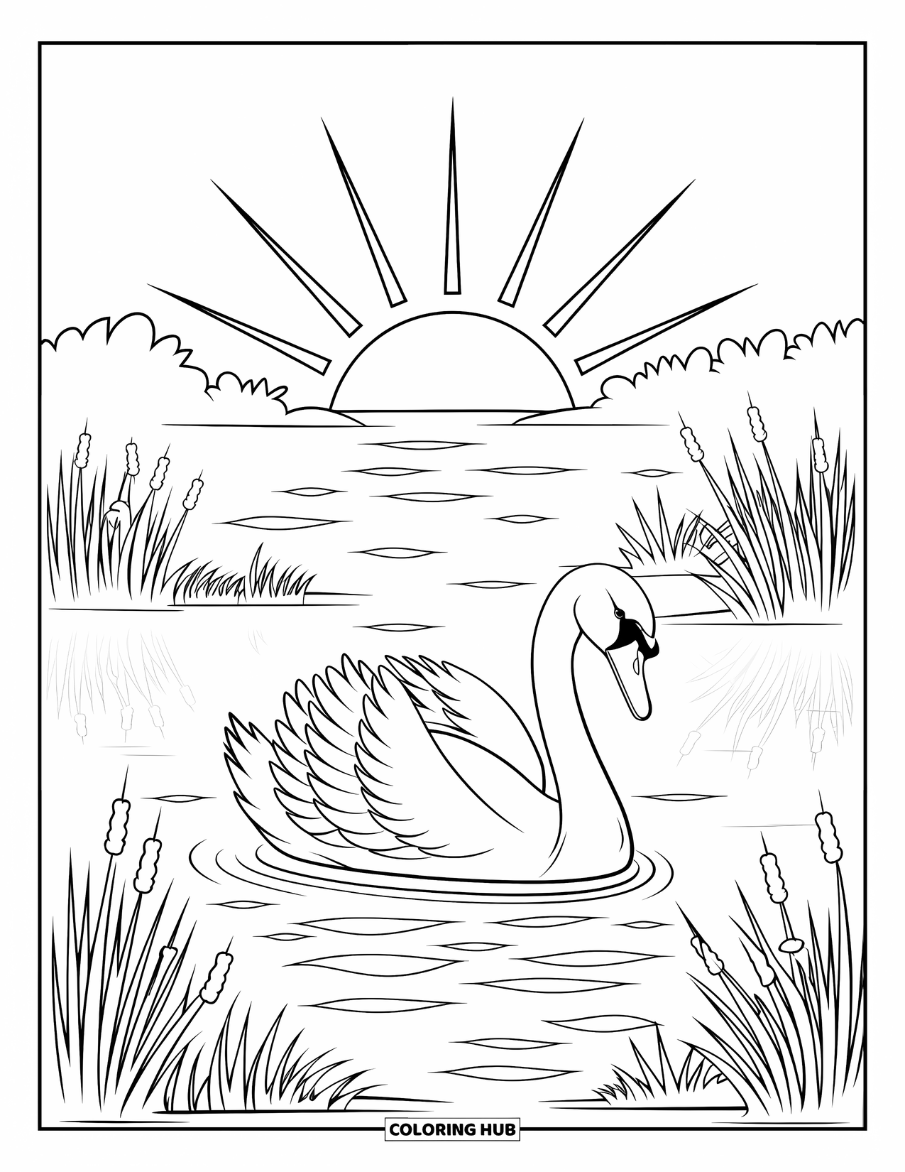 Letter S Coloring Page for Kids: A graceful swan on a lake with sunrise and swaying reeds