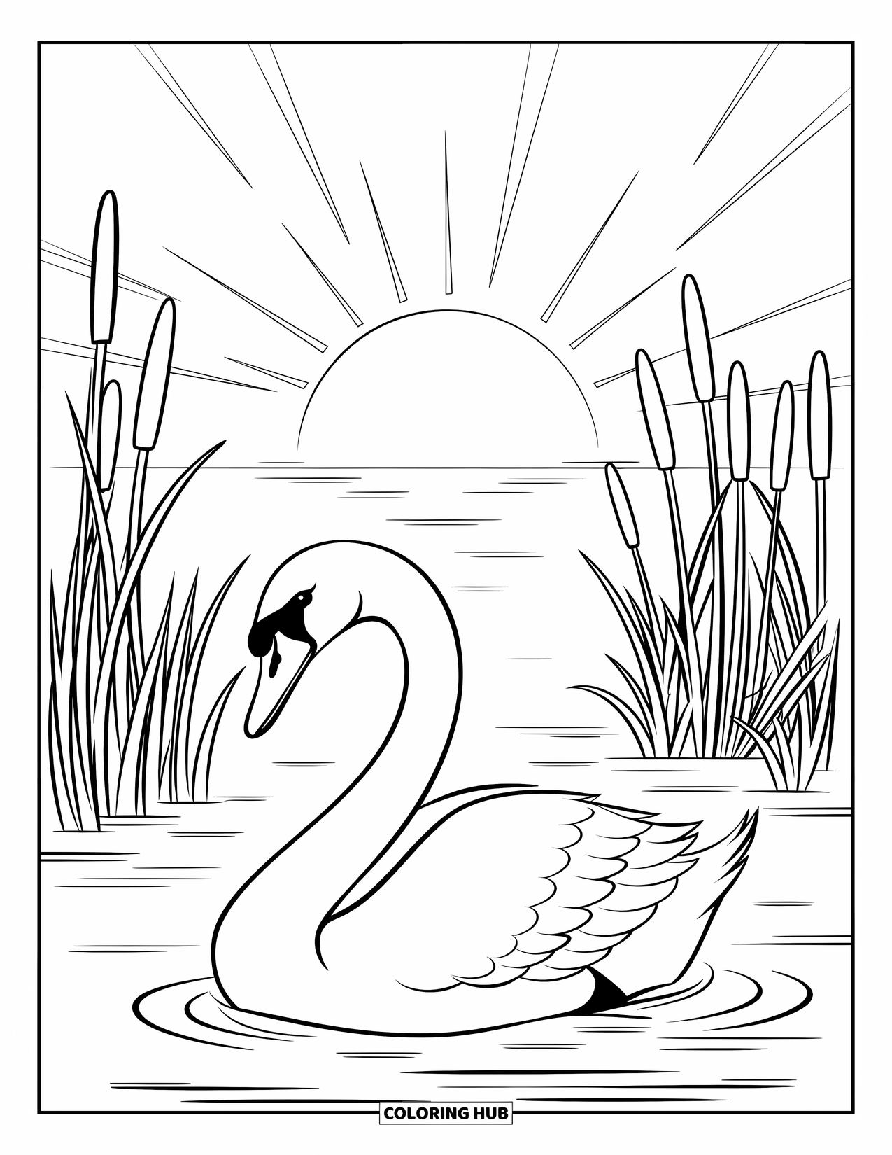 Letter S Coloring Page for Kids: A swan floats on a calm lake with tall reeds and a rising sun