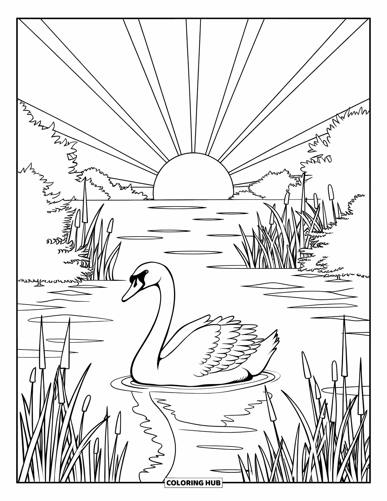 Letter S Coloring Page for Kids: A swan stretches its neck on a calm lake under a glowing sunrise