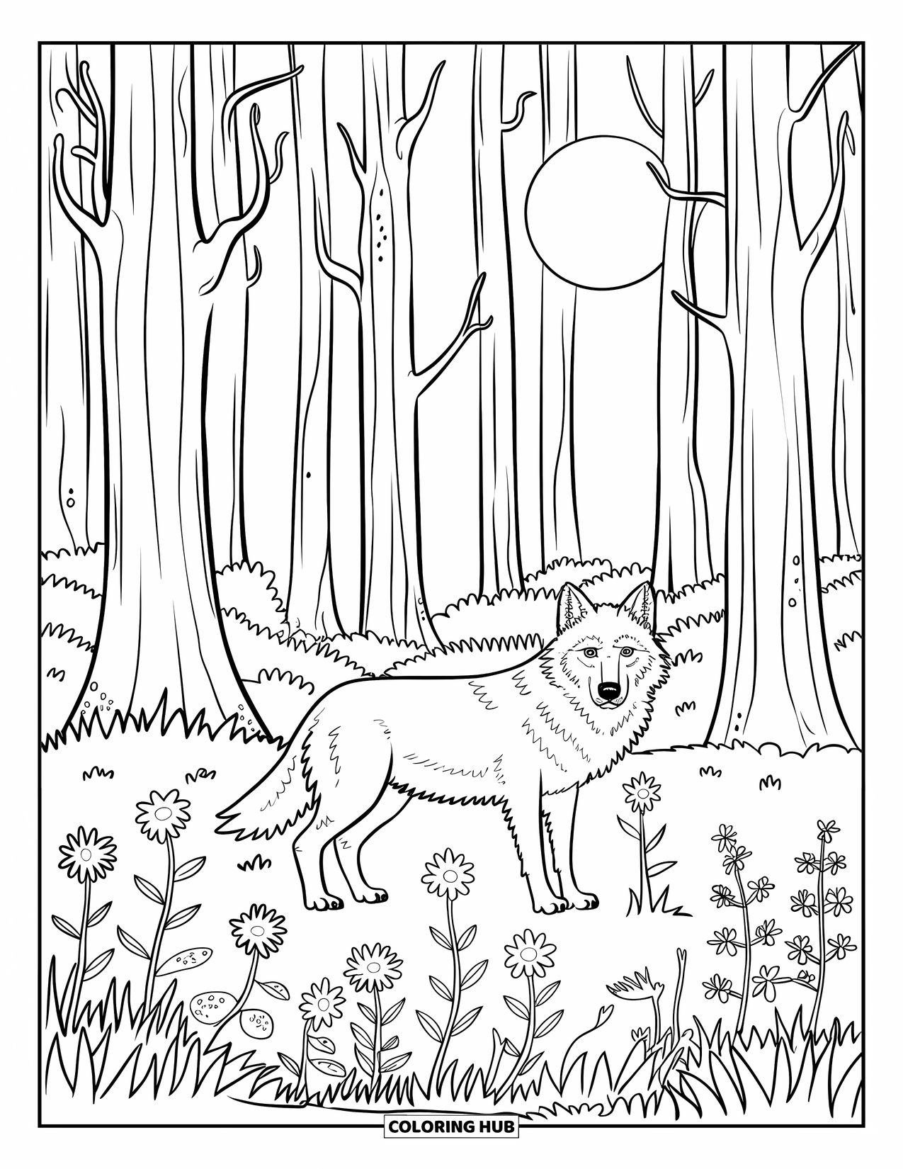 Letter W Coloring Page for Kids: A full moon lights a quiet forest with a wolf and wildflowers