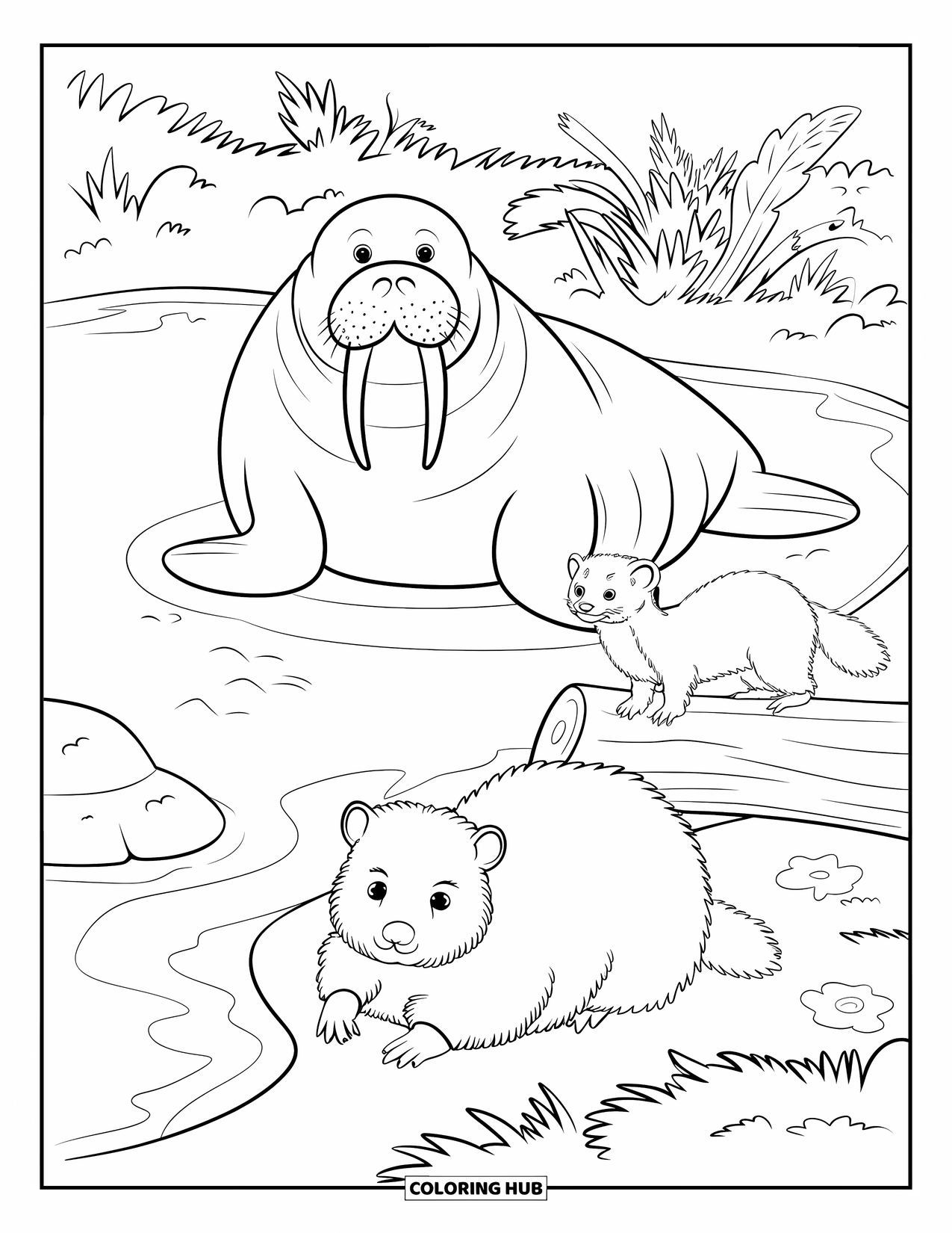 Letter W Coloring Page for Kids: Forest animals chat near a pond: a walrus on a rock, weasel, and wombat
