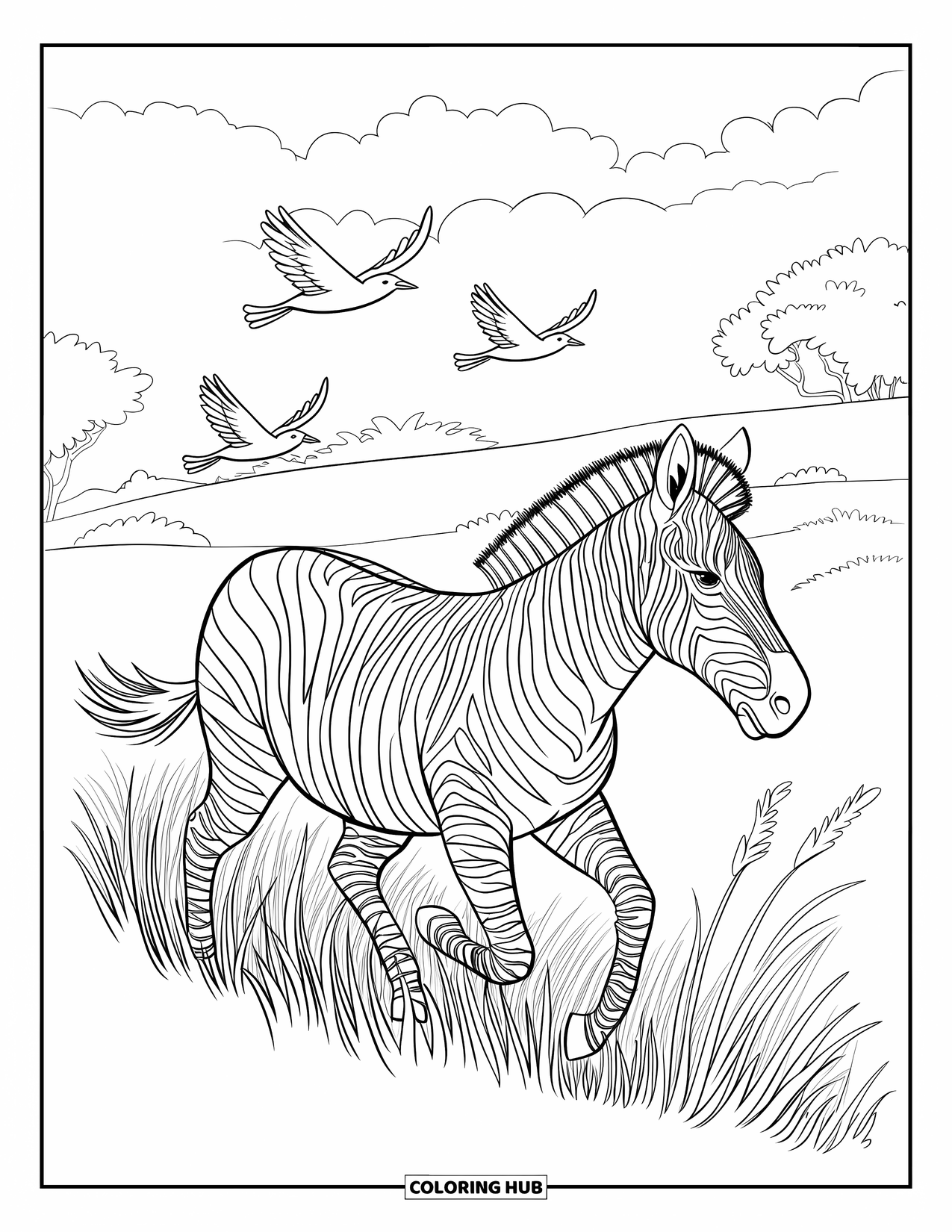 Letter Z Coloring Page for Kids: Zebra races through tall grass under a sky full of birds
