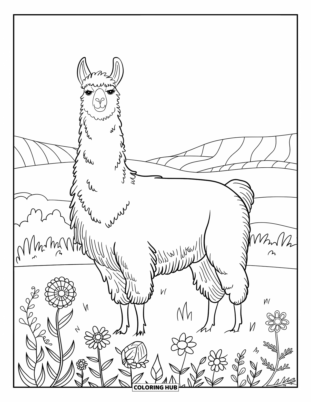 Llama Coloring Page for Adults: A tall llama stands calmly in a field of detailed mandala-style wildflowers