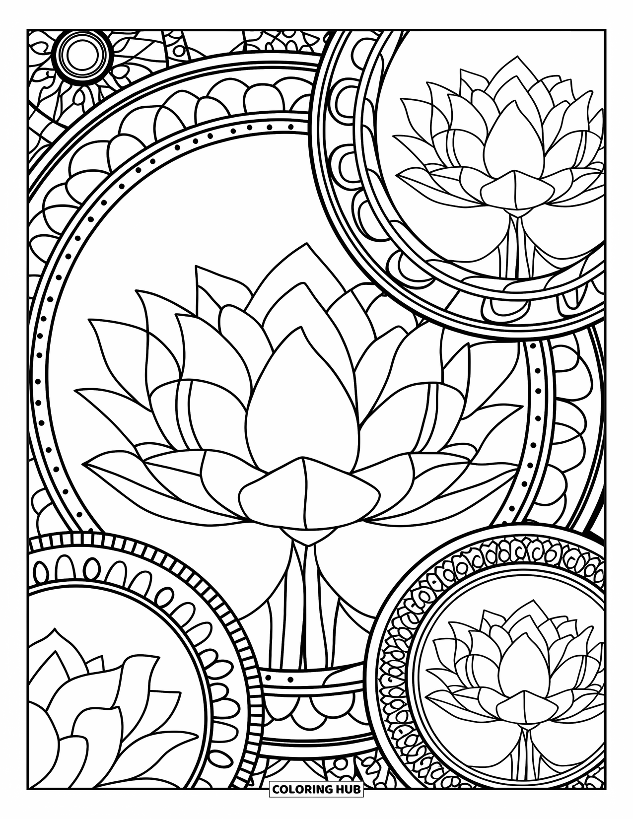 Lotus Coloring Page for Adults: Layered lotus blooms arranged in detailed mandala rings