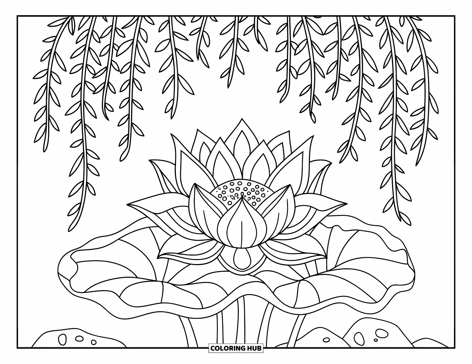 Lotus Coloring Page for Kids: Lotus flower blooms under willow leaves beside a few simple rocks