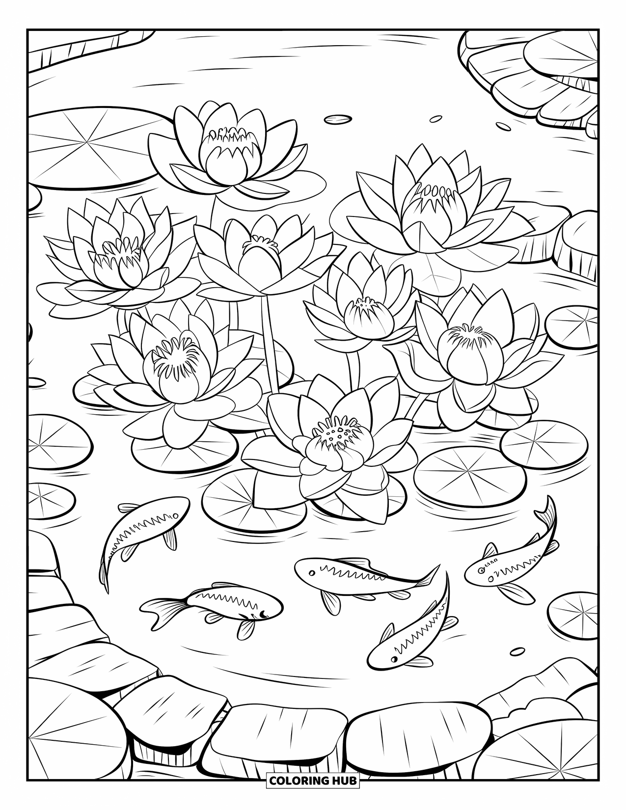 Lotus Coloring Page for Kids: Lotus flowers bloom above koi fish swimming in a small pond
