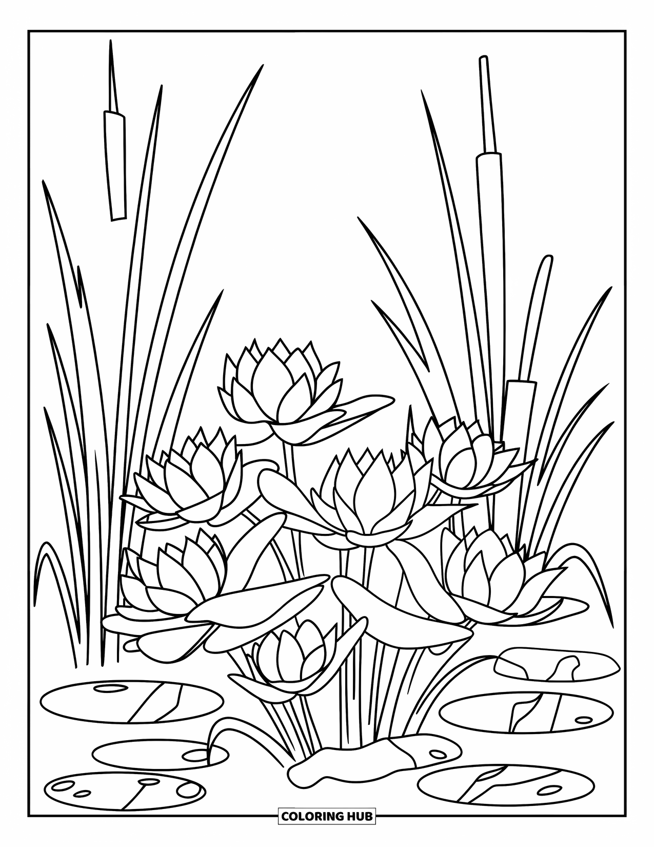 Lotus Coloring Page for Kids: Lotus flowers bloom beside tall reeds and smooth pond stones