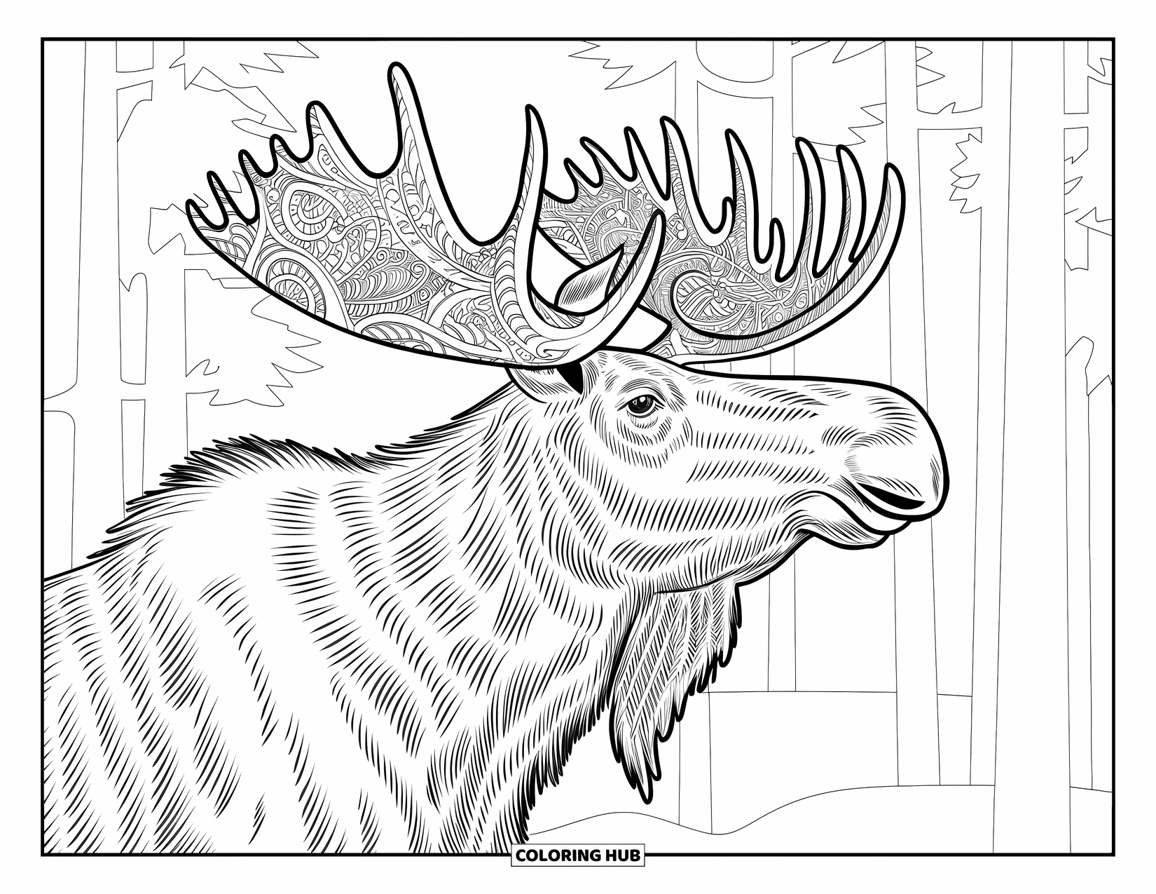 Moose Coloring Page for Adults: Moose gazes upward with patterned antlers in a peaceful forest