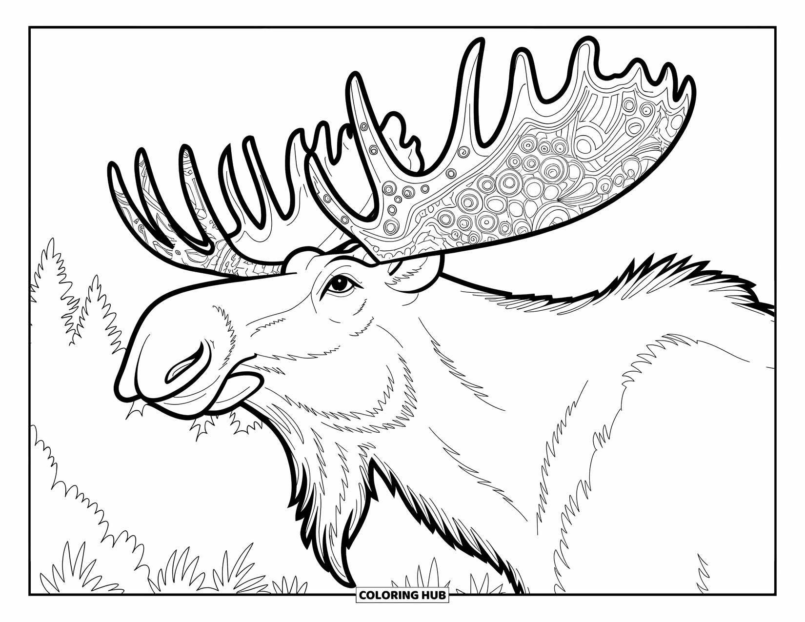 Moose Coloring Page for Adults: Patterned-antler moose gazes upward in a calm, leafy forest