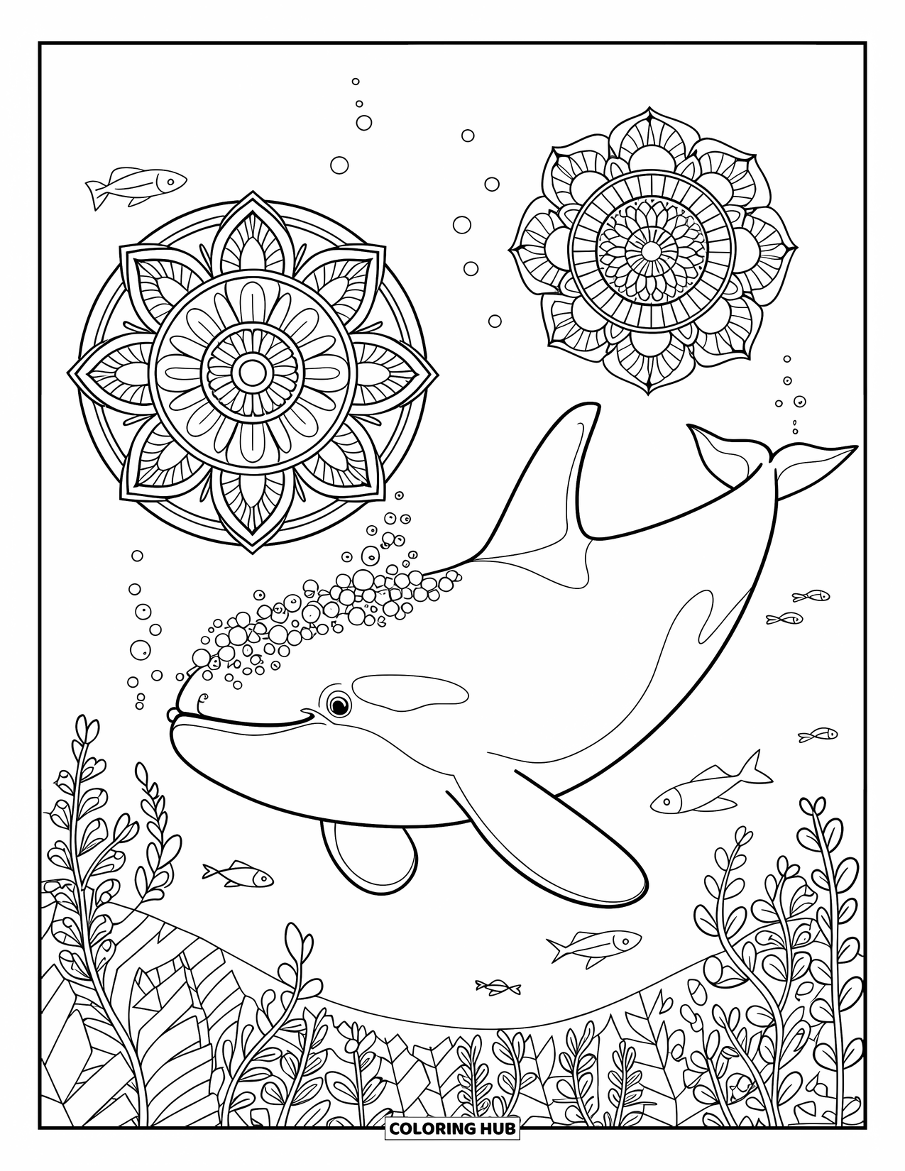 Orca Coloring Page for Adults: An orca swims past bubbles and mandalas floating among seaweed