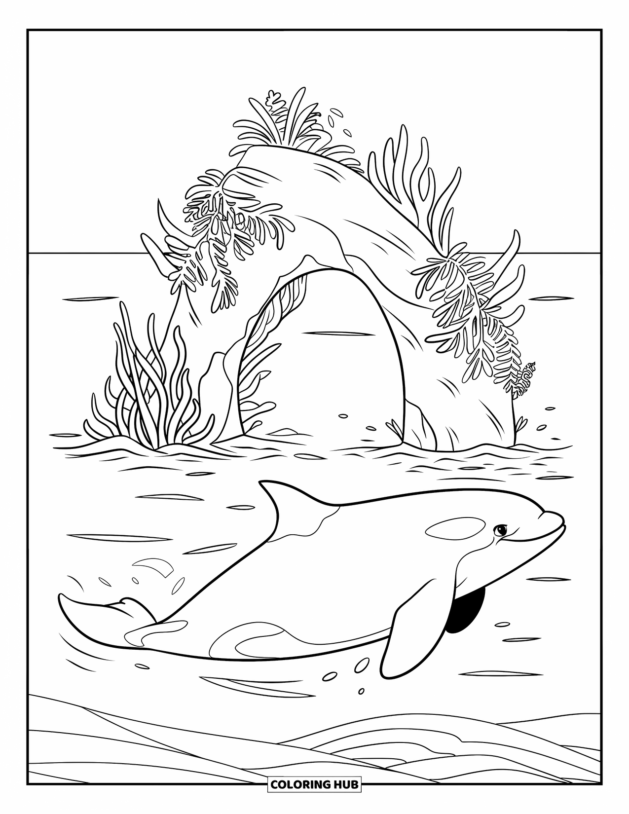 Orca Coloring Page for Kids: A sleek orca dives beside a sea arch draped in marine plants