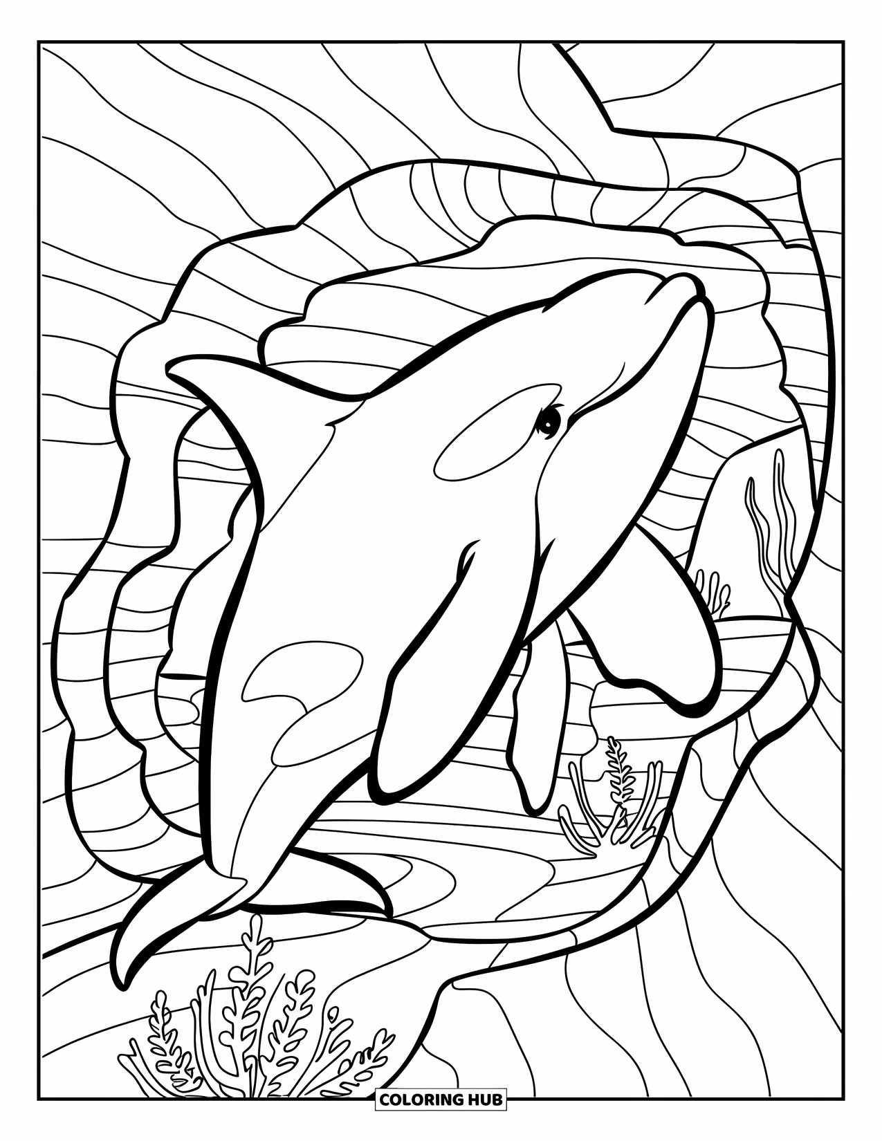 Orca Coloring Page for Kids: A twisting orca explores narrow reef passages and rocky canyons