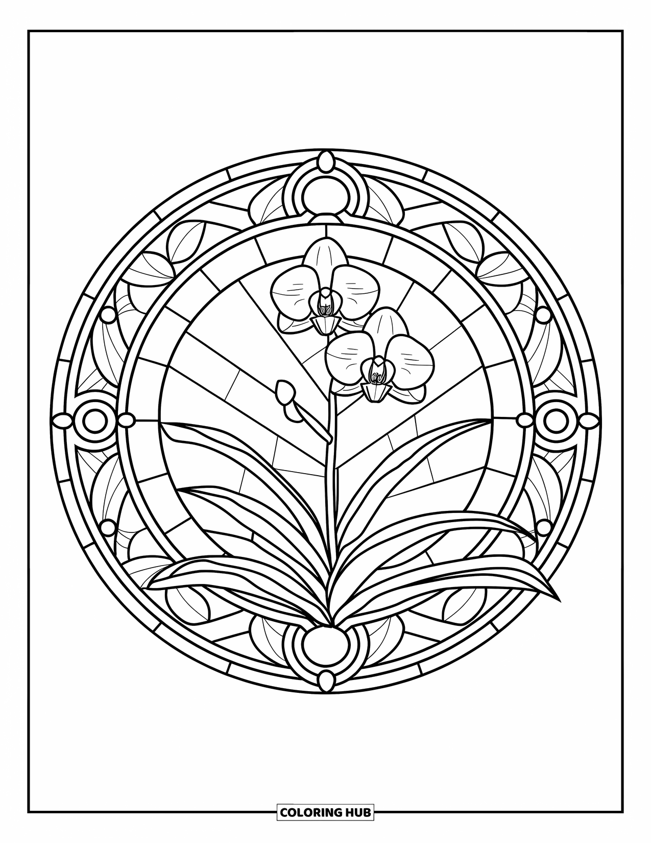 Orchid Coloring Page for Adults: Blooming orchid in the center of a leafy stained-glass circular design
