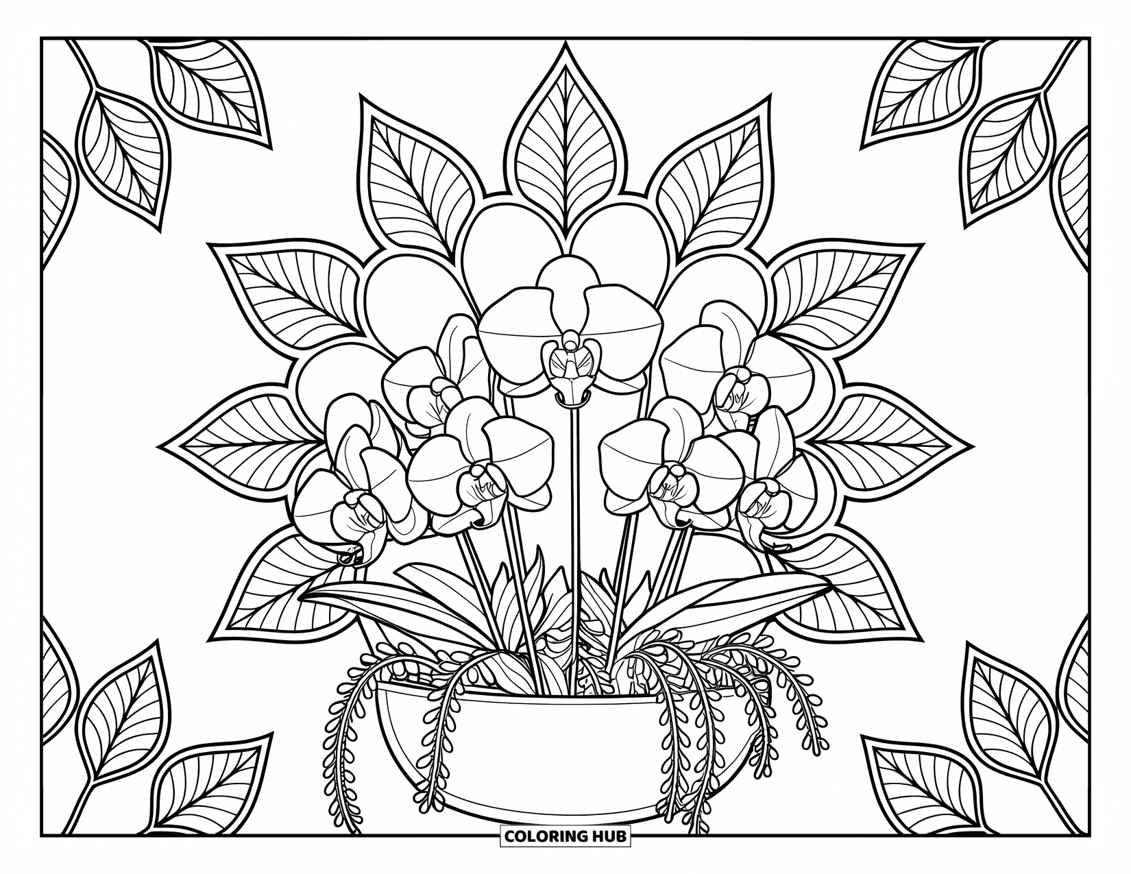 Orchid Coloring Page for Adults: Cluster of orchids in a planter with circular leaf mandalas around