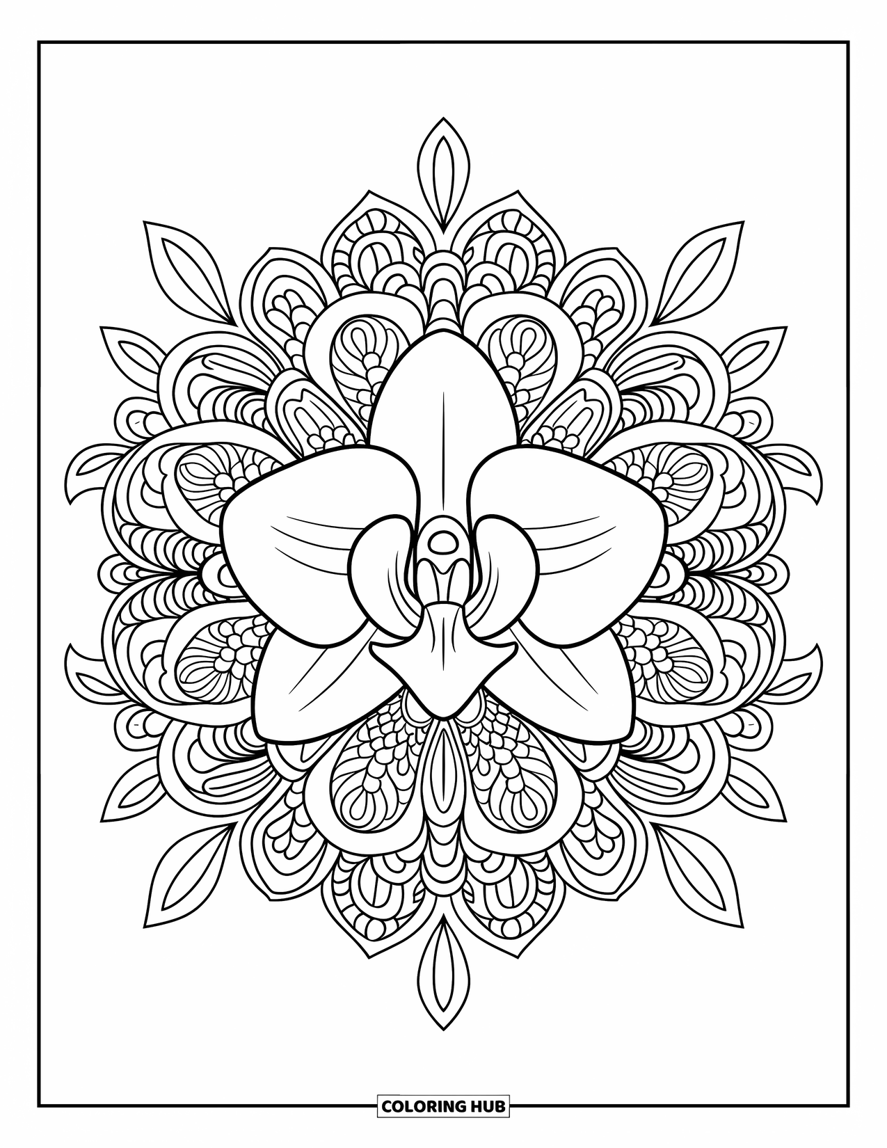 Orchid Coloring Page for Adults: Detailed floral mandala frames a symmetrical orchid in the center