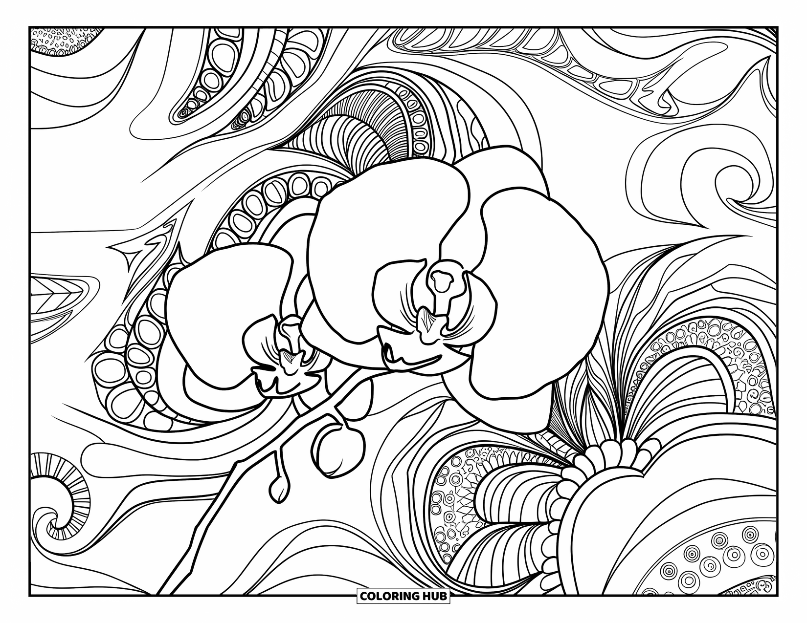 Orchid Coloring Page for Adults: Orchid stem rests over swirling floral patterns with intricate detailing