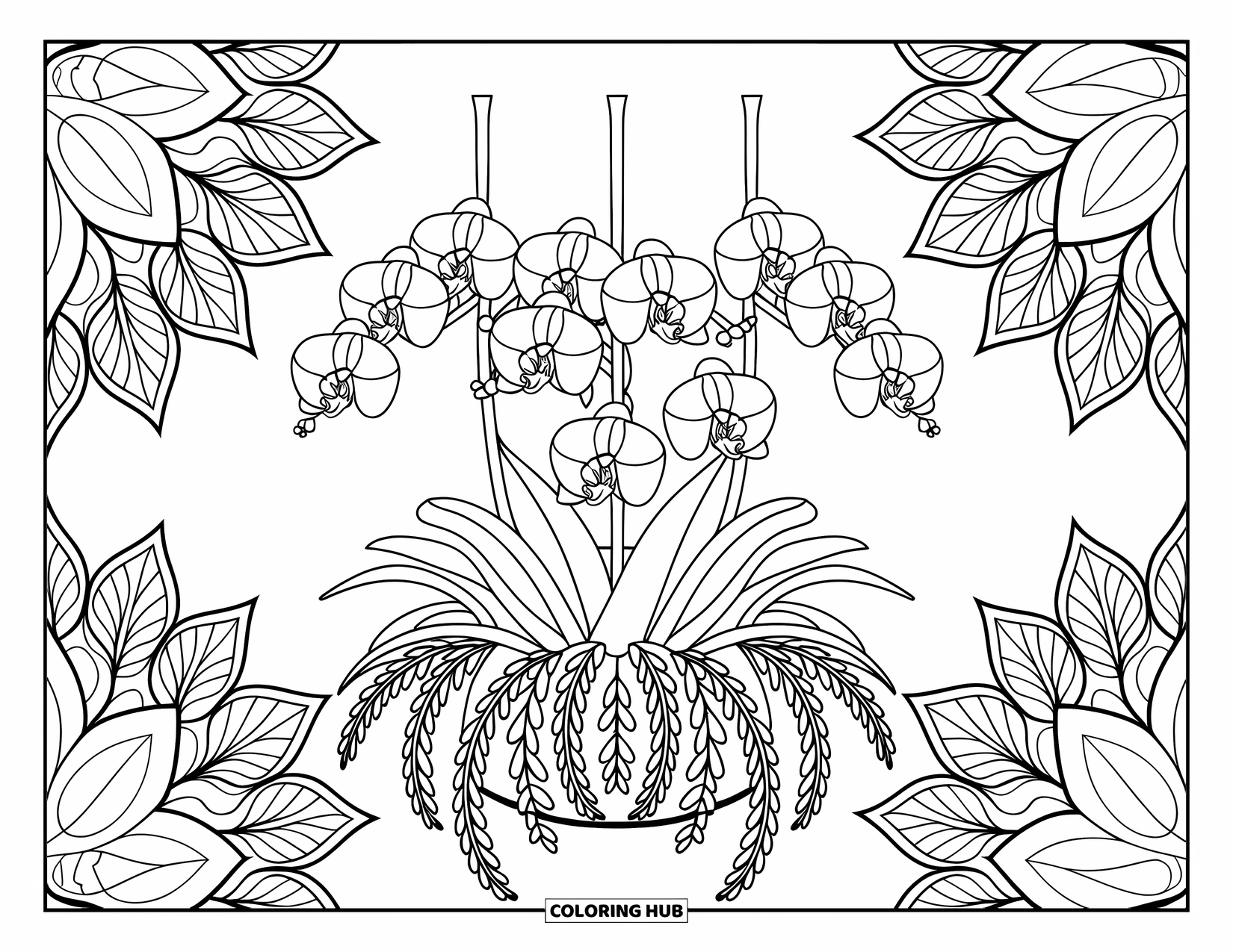 Orchid Coloring Page for Adults: Orchids hang in a planter surrounded by intricate leaf mandala patterns