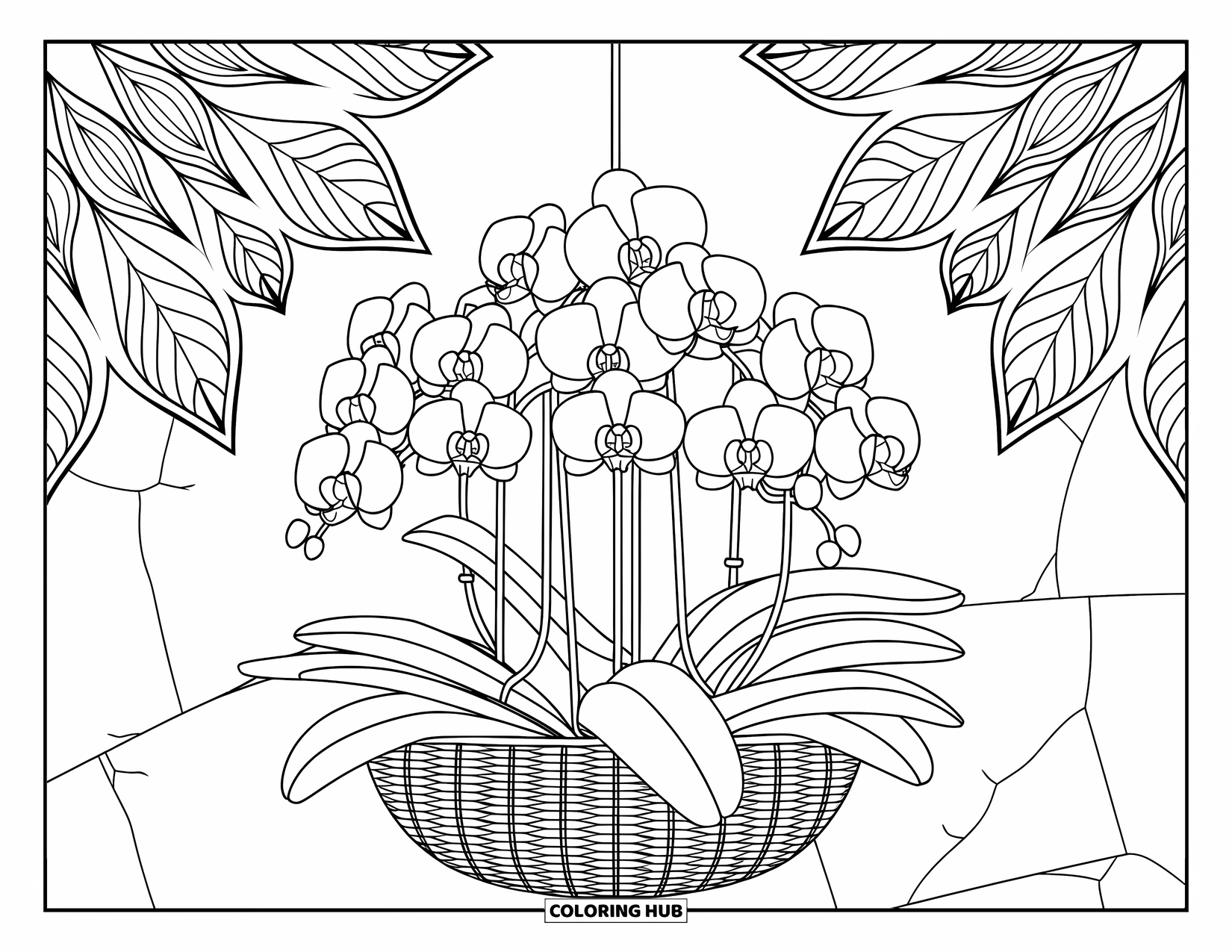 Orchid Coloring Page for Adults: Orchids in a wicker planter surrounded by leaf mandalas and a cracked wall
