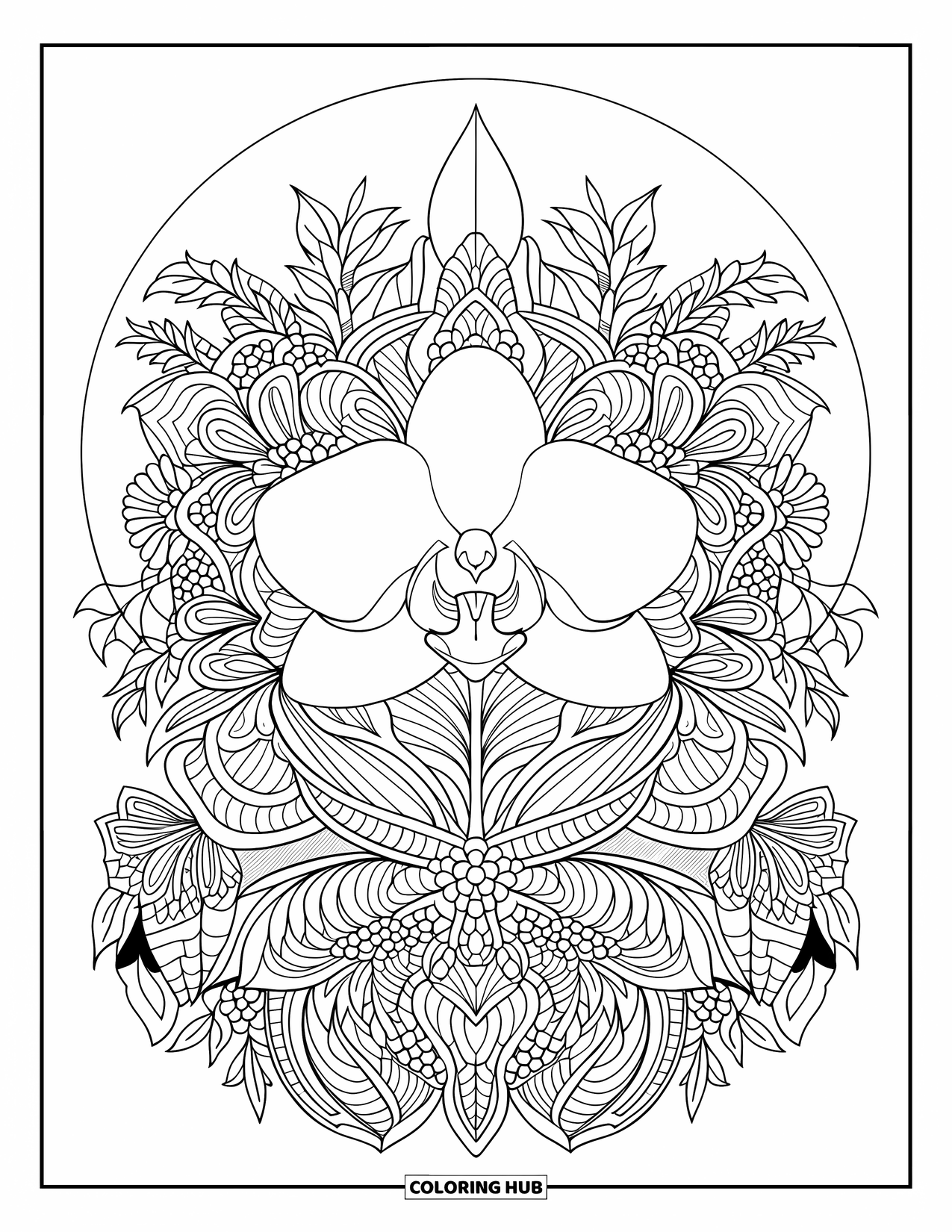 Orchid Coloring Page for Adults: Symmetrical orchid flower centered in a detailed floral mandala