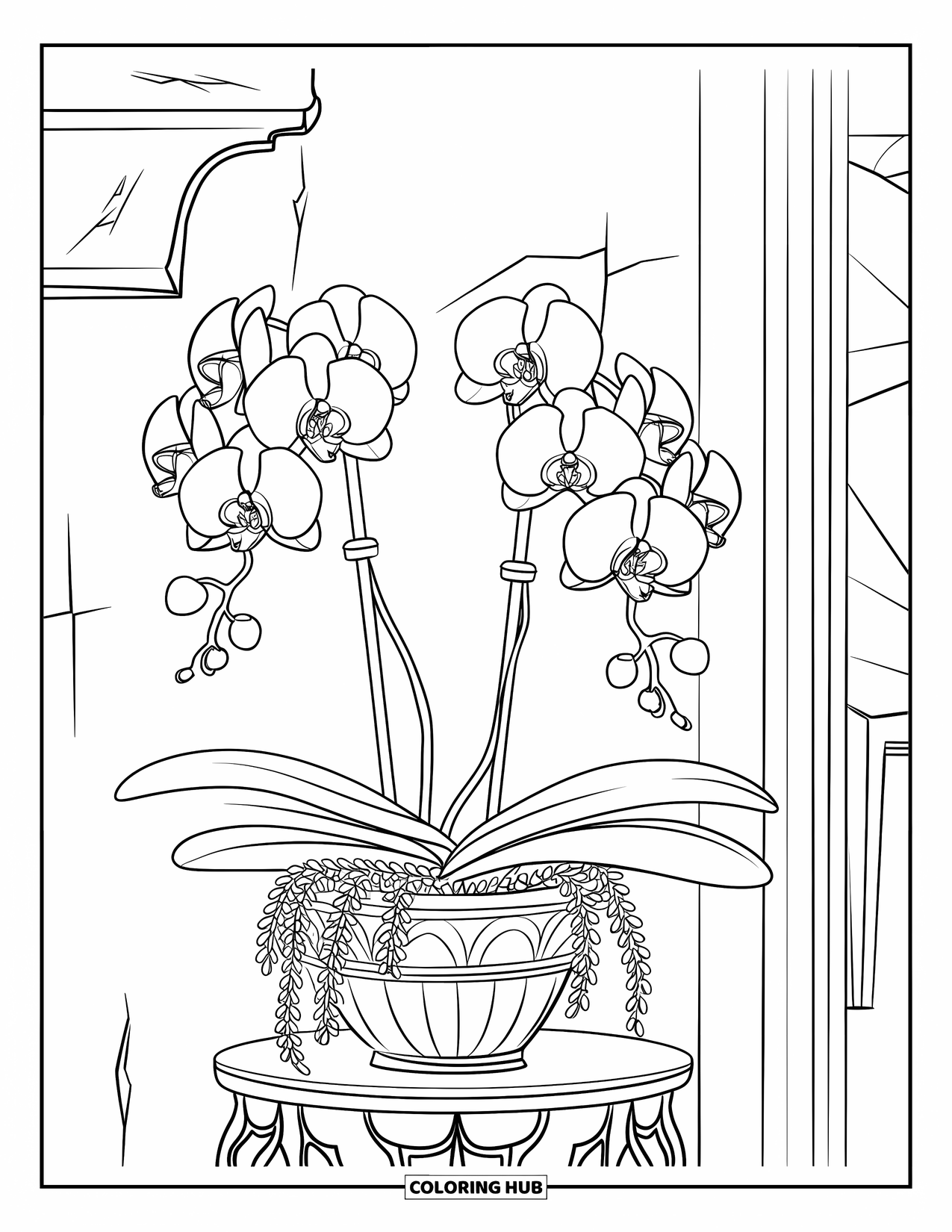 Orchid Coloring Page for Kids: A hanging orchid plant sits in a patterned pot on a wooden stand