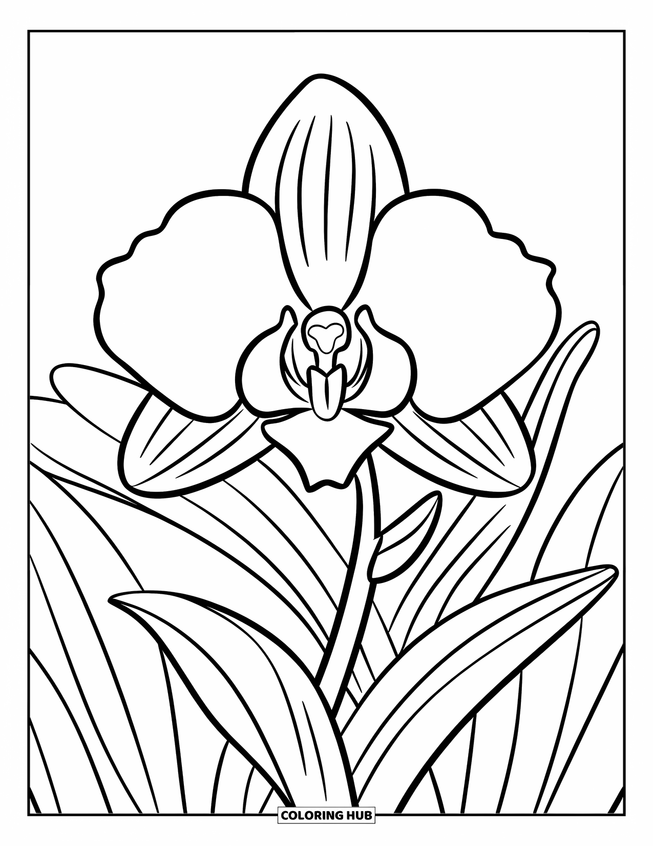 Orchid Coloring Page for Kids: Big orchid flower with thick petals and bold stem in the center