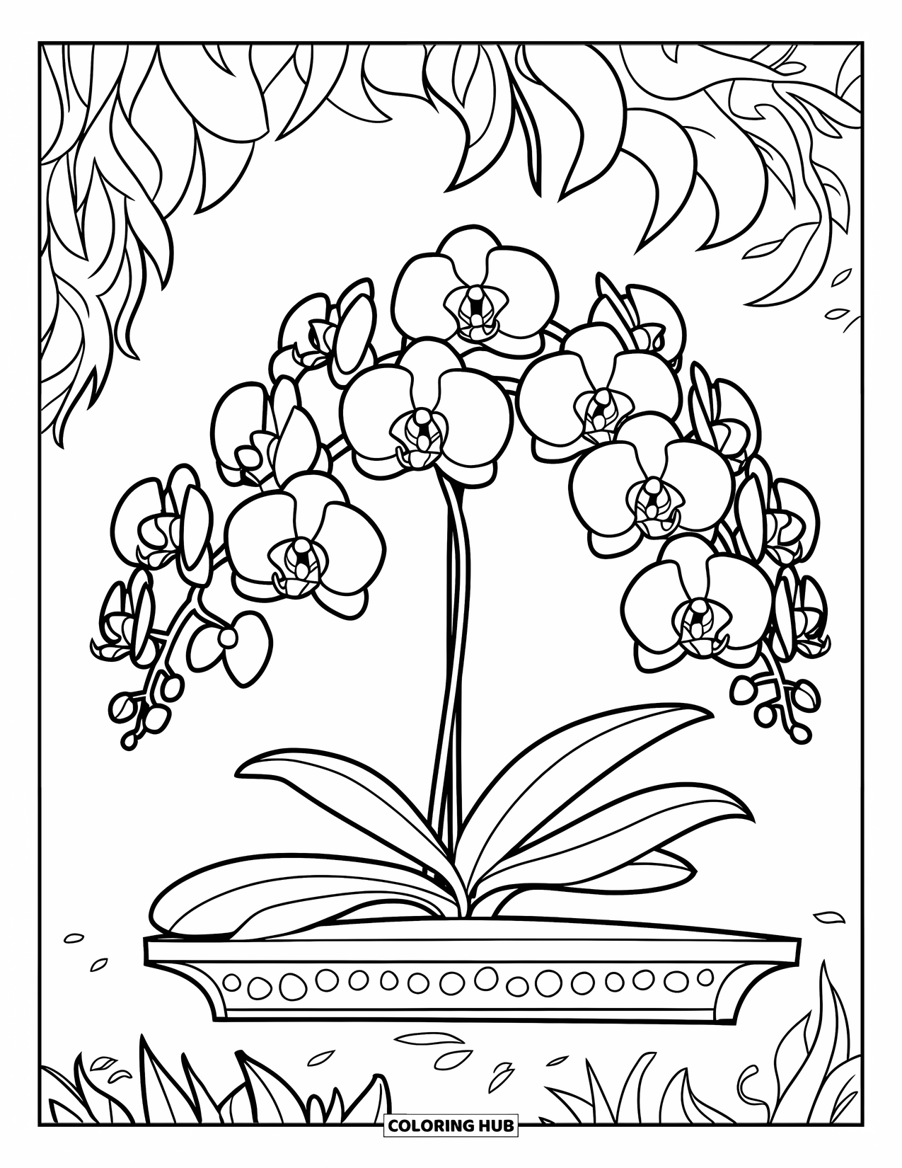 Orchid Coloring Page for Kids: Bold orchid with blooms sits on a garden shelf over a textured surface