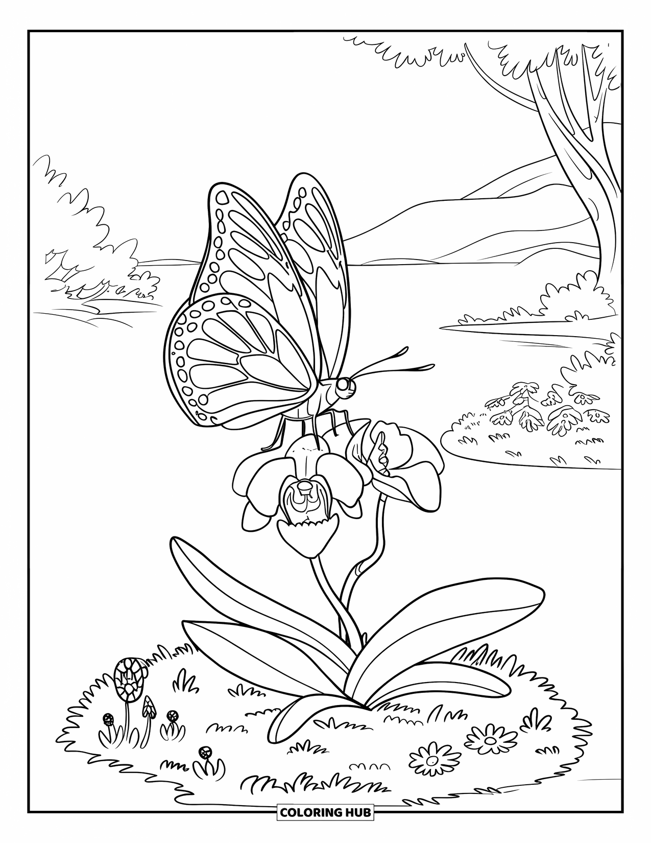 Orchid Coloring Page for Kids: Butterfly lands on an orchid in a peaceful garden patch