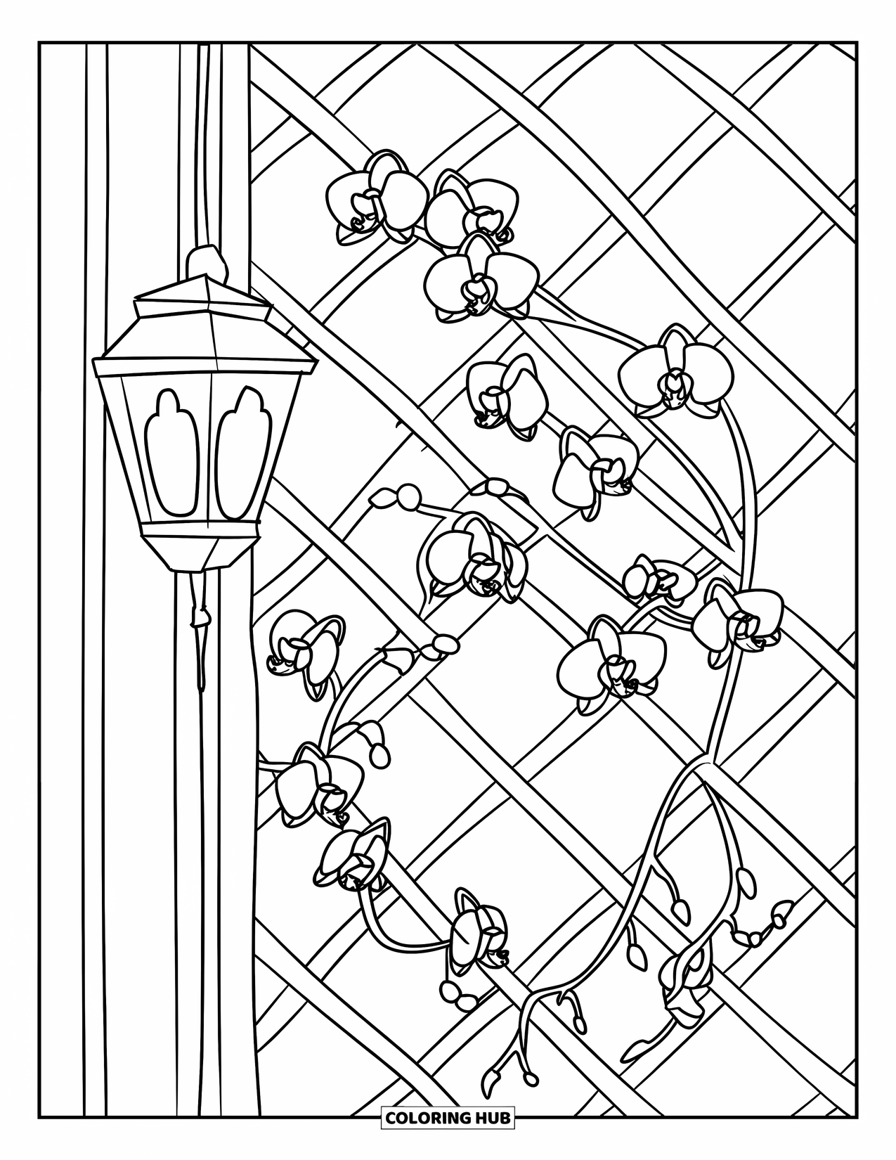 Orchid Coloring Page for Kids: Lantern hangs next to an orchid vine climbing a wooden lattice