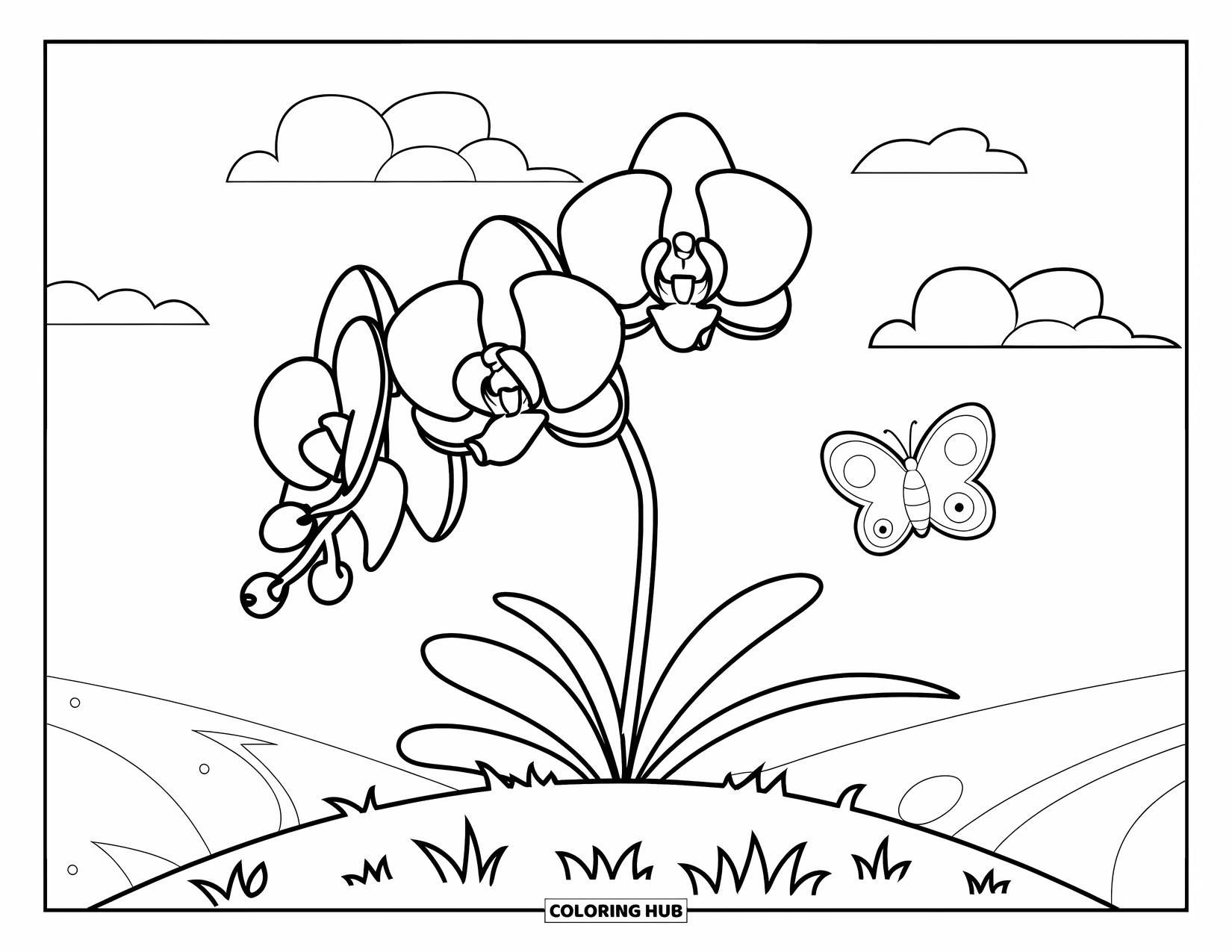 Orchid Coloring Page for Kids: Orchid blooms on a grassy hill with clouds and a butterfly nearby