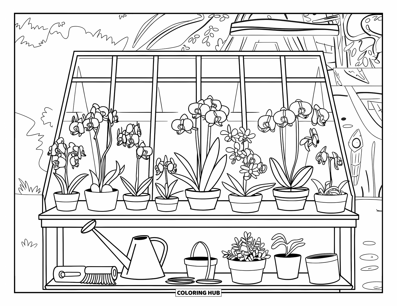 Orchid Coloring Page for Kids: Orchid shelf with tools nearby set against a cozy outdoor greenhouse backdrop