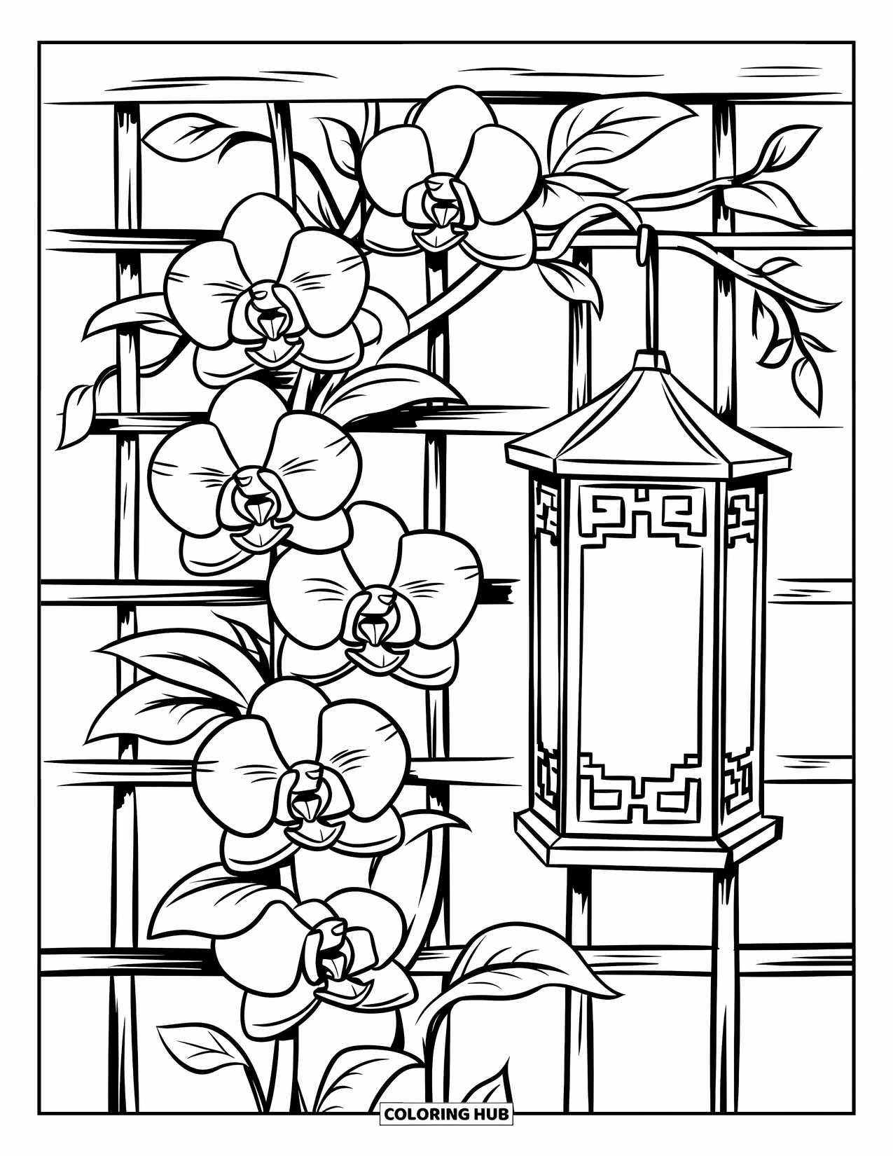 Orchid Coloring Page for Kids: Orchid vine with big flowers climbs a lattice with a metal lantern beside it
