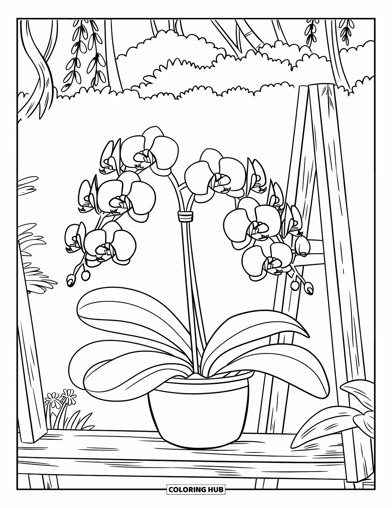 Orchid Coloring Page for Kids: Orchid with large leaves sits on a rustic shelf with other tiny decorations