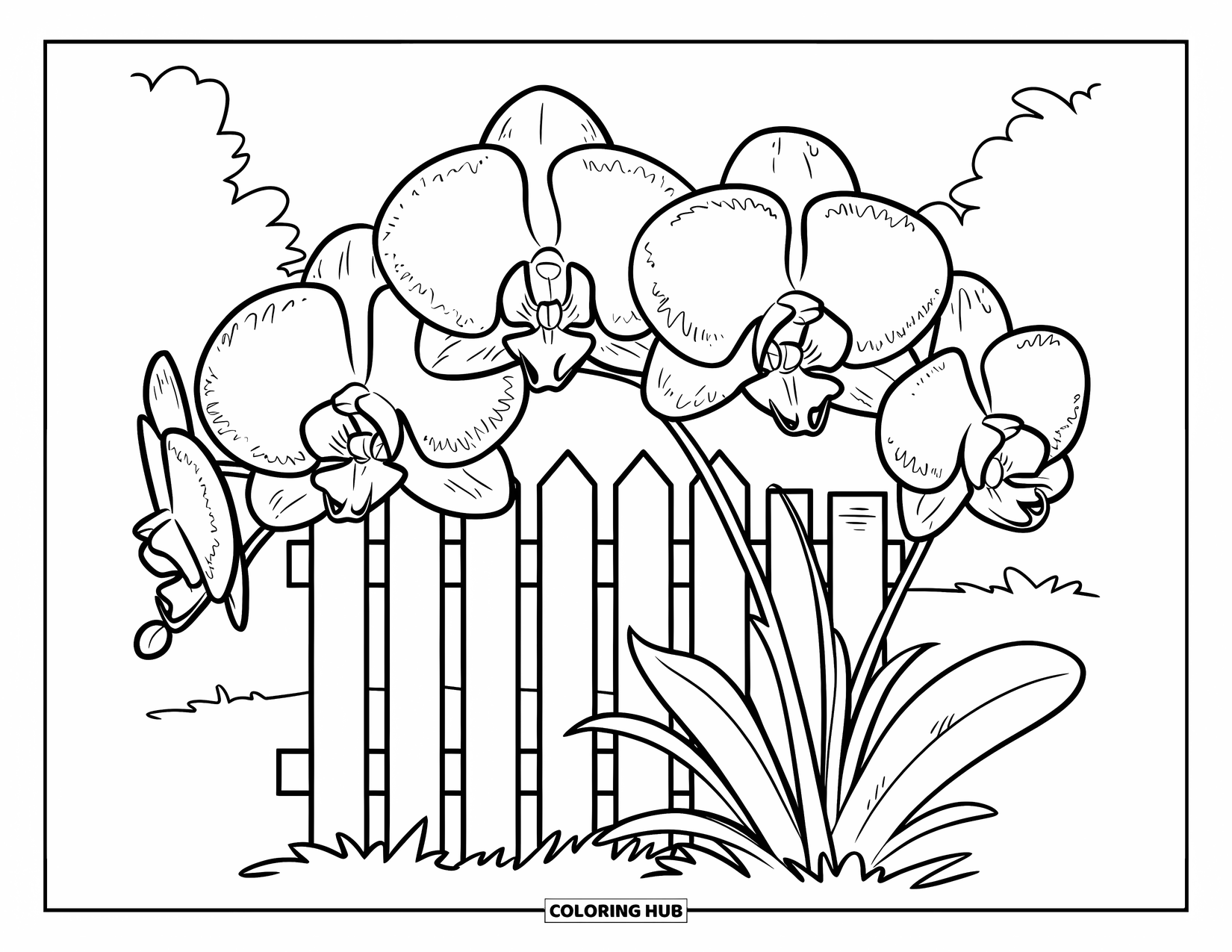 Orchid Coloring Page for Kids: Orchids bloom near a small fence with three rails and round petals