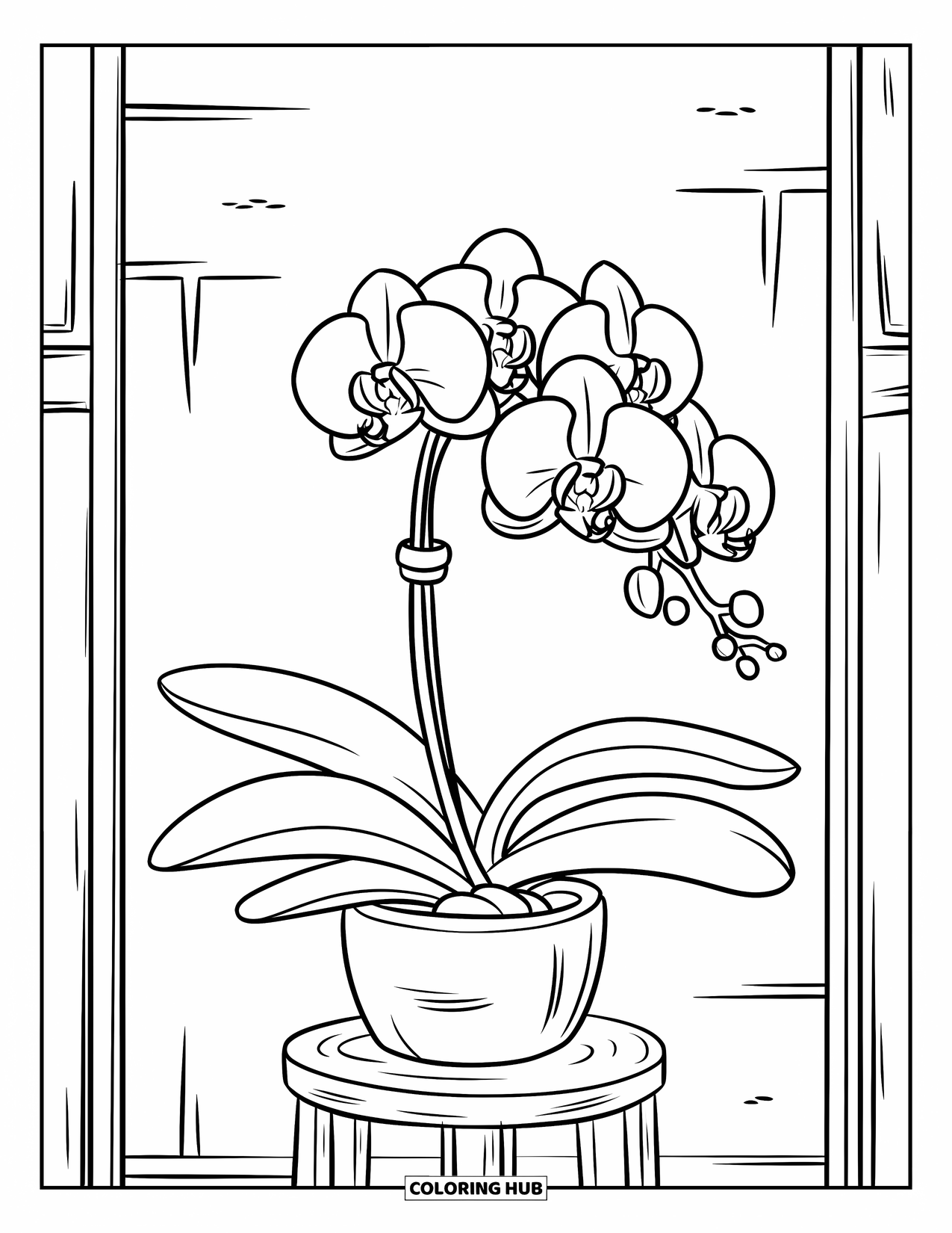 Orchid Coloring Page for Kids: Potted orchid with thick leaves and one bloom stands against a plain wall