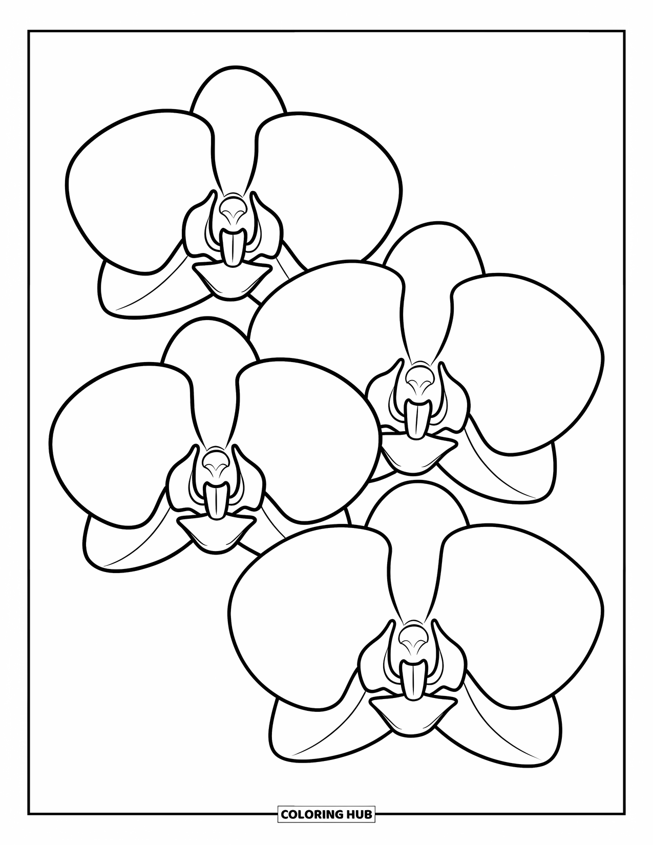 Orchid Coloring Page for Kids: Three bold orchid flowers with wide petals and easy shapes to color