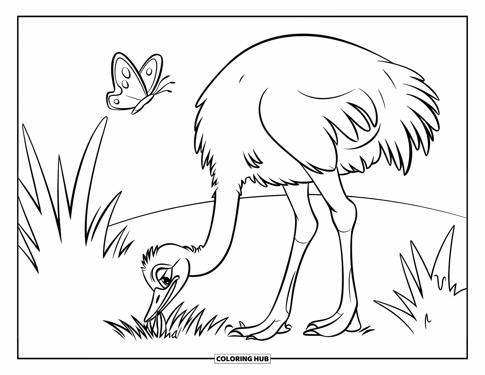 Ostrich Coloring Page for Kids: A butterfly hovers above an ostrich bending down to the grass