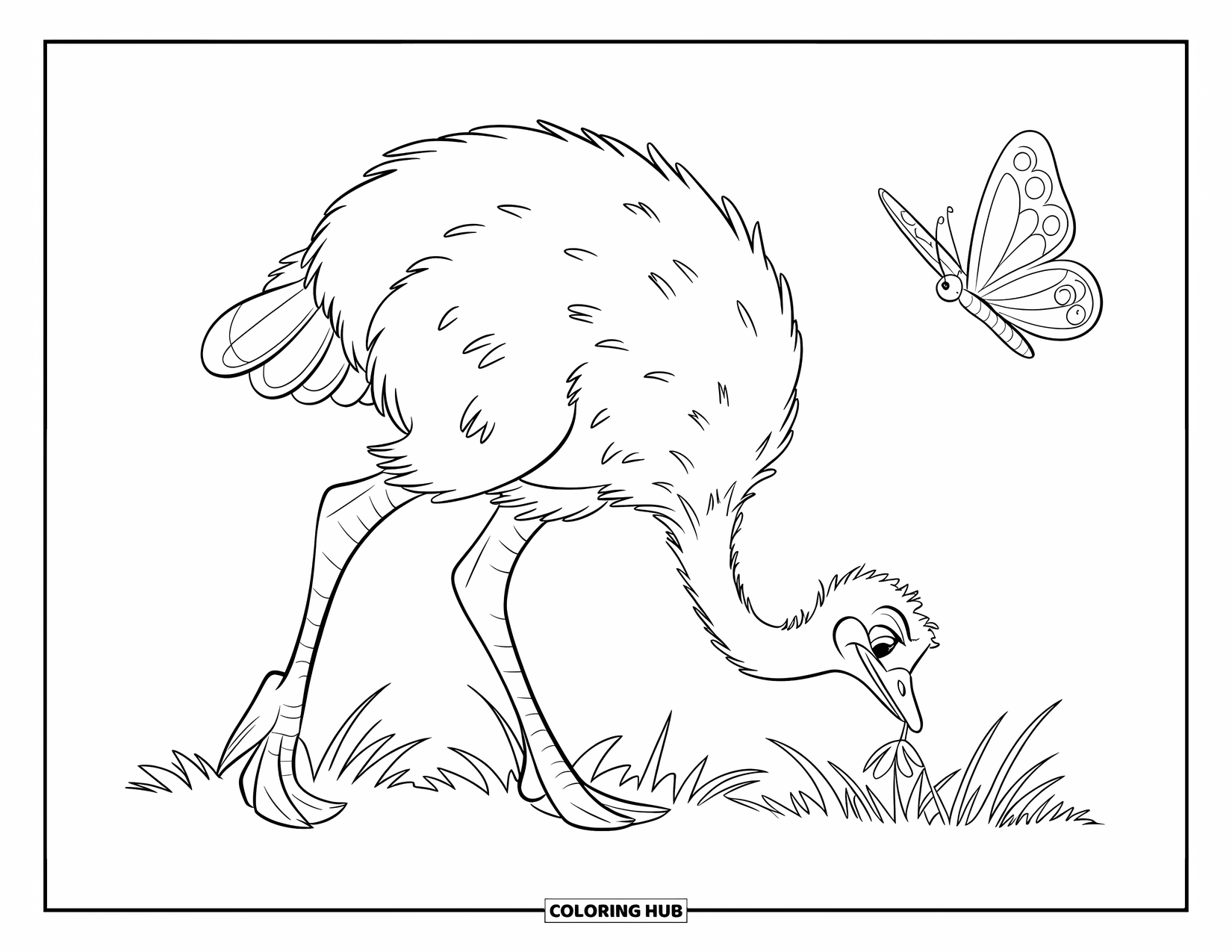 Ostrich Coloring Page for Kids: Ostrich lowers its head to nibble grass while a butterfly floats nearby
