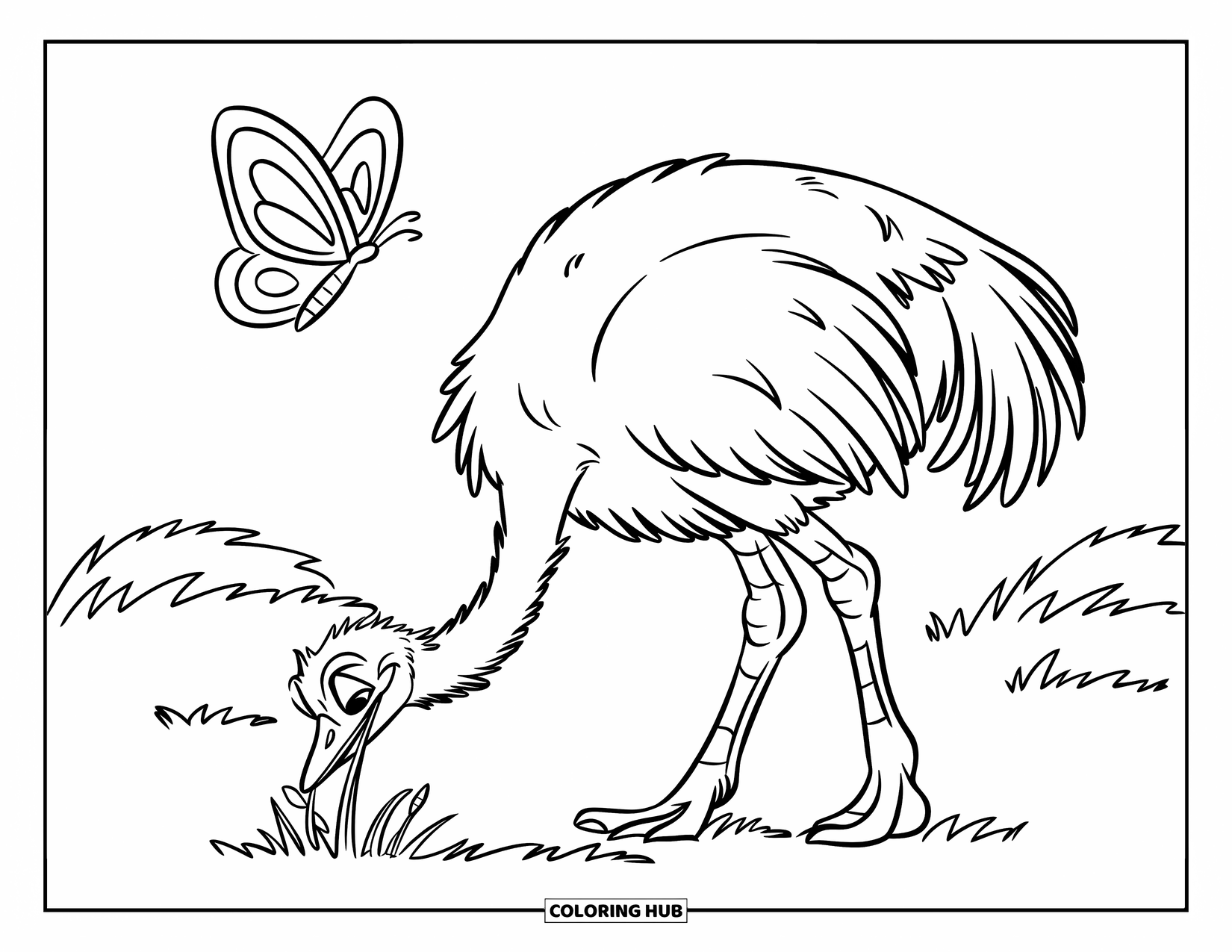 Ostrich Coloring Page for Kids: Ostrich pecks at grass while a butterfly flies over its head